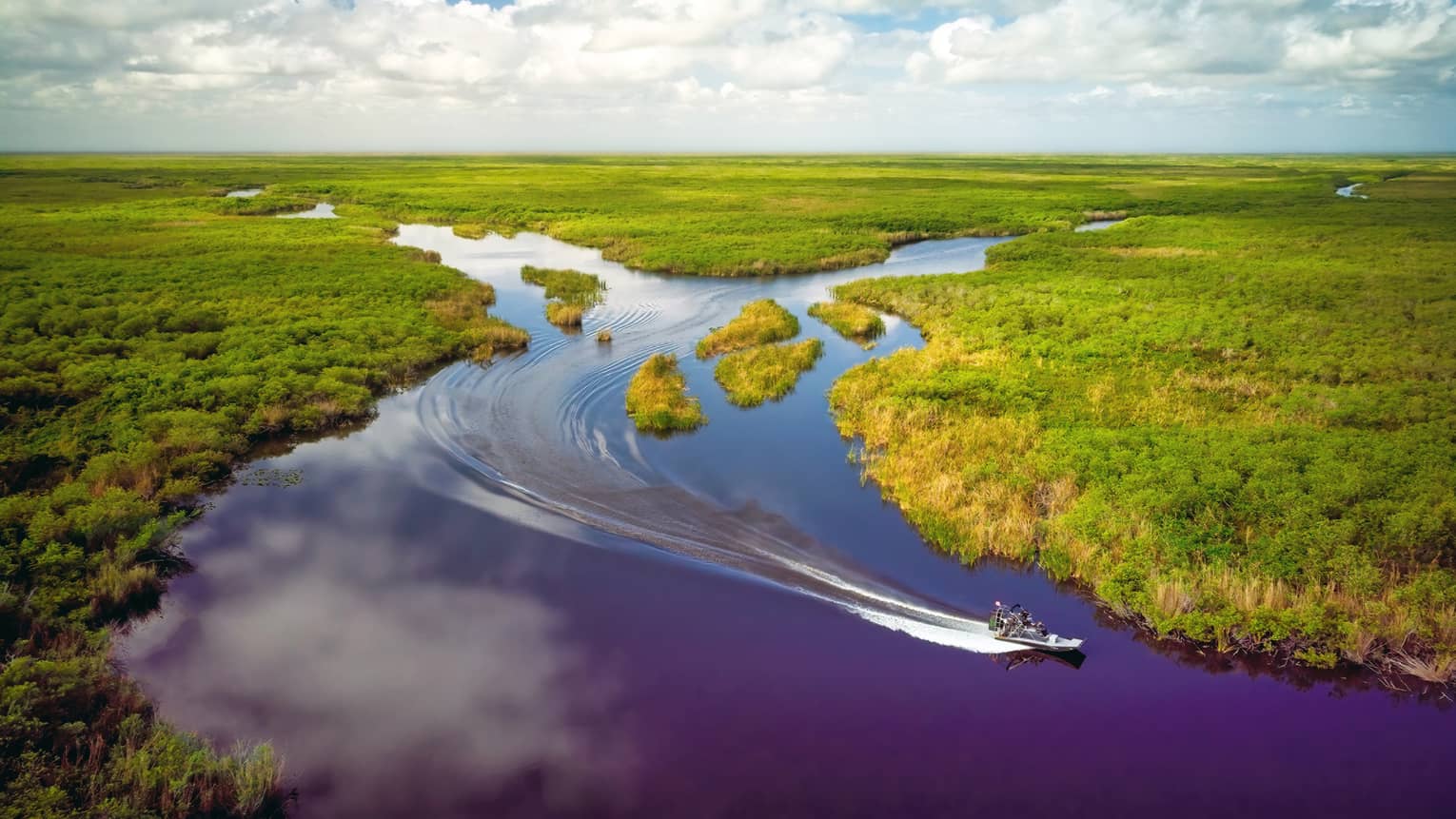 Aerial view of a boat zooming through water in the Florida everglades