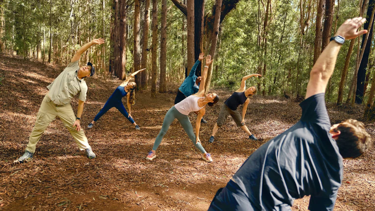 A group of people do yoga in forest