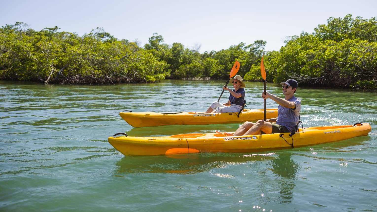 Two people row in yellow kayaks on the water, with bushy trees lining the waterway