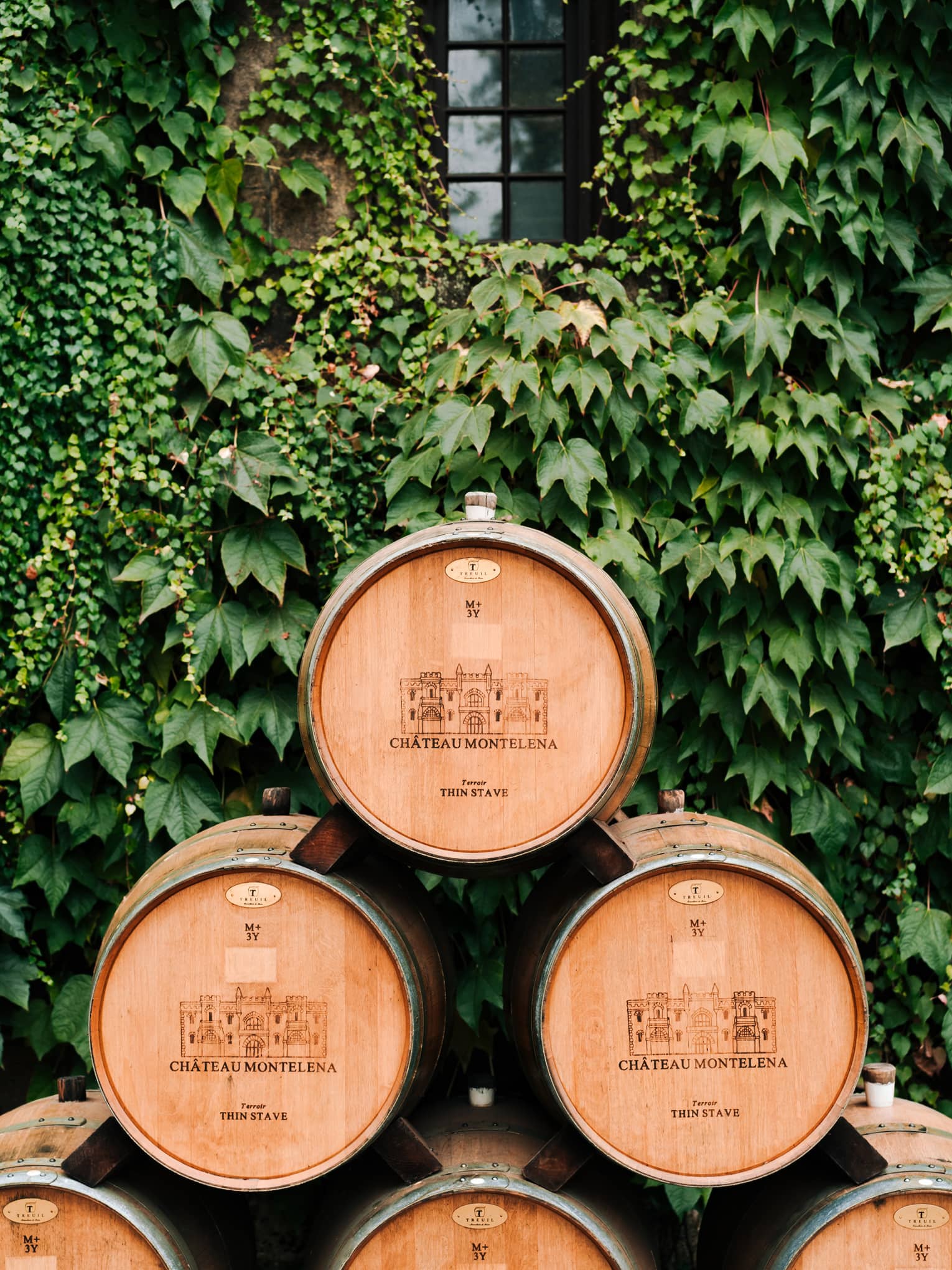 Wine casks stacked on top of each other and surrounded by plants