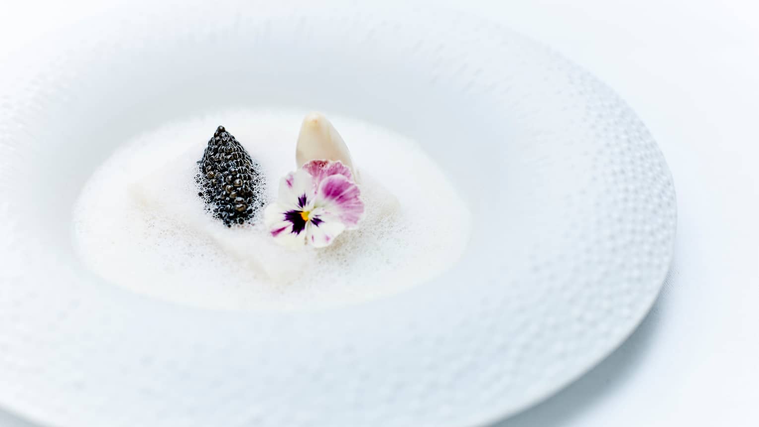 Caviar, purple flowers in white foam in dish