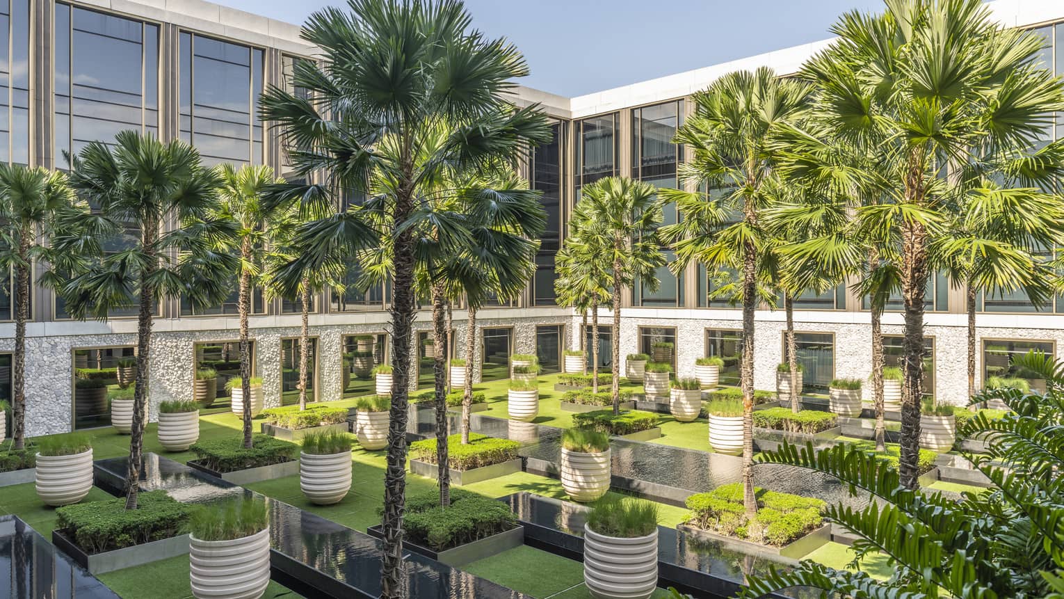 Palm Courtyard with towering palms and potted greenery