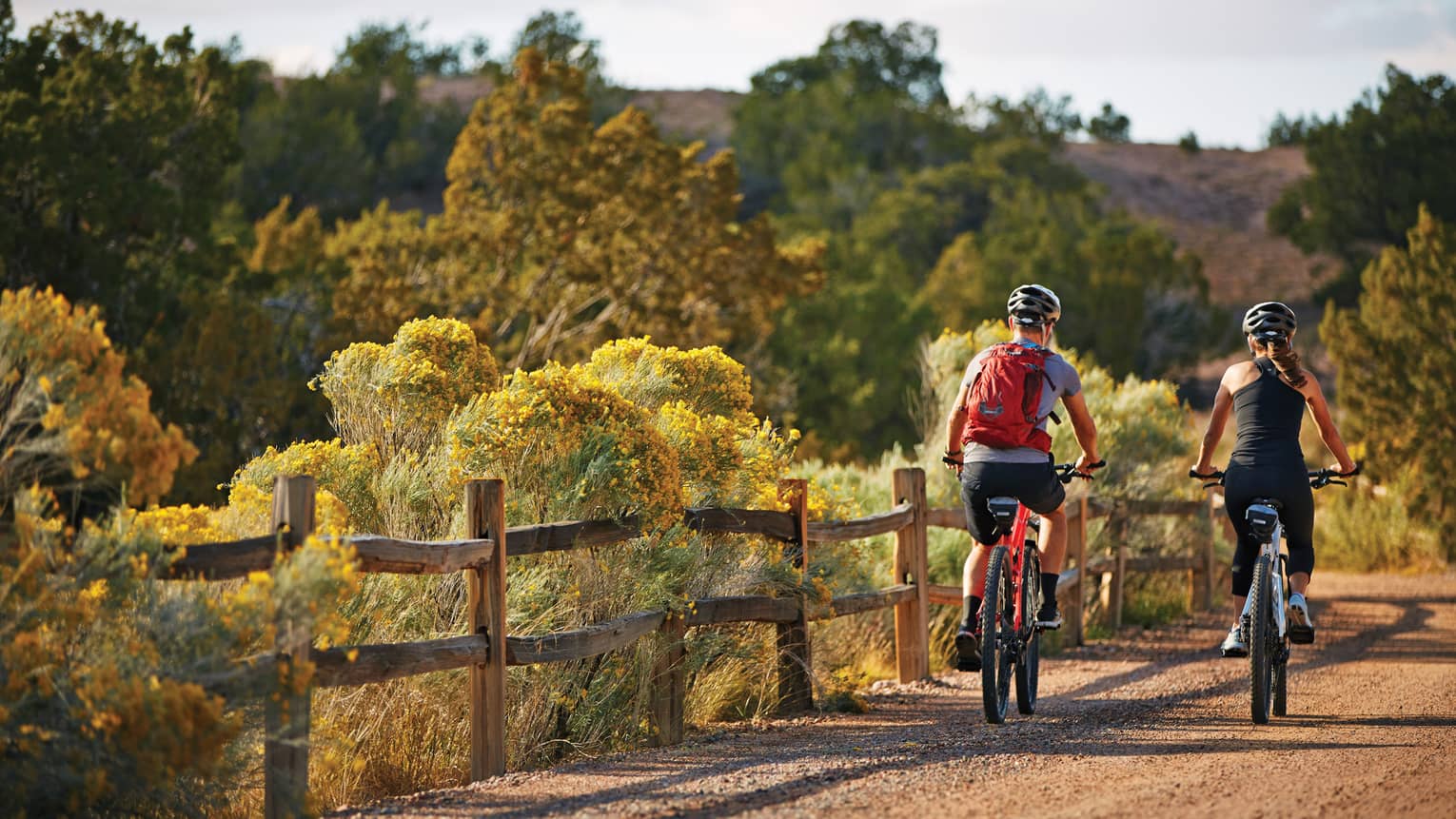 Back of two cyclists riding on desert path past bushes