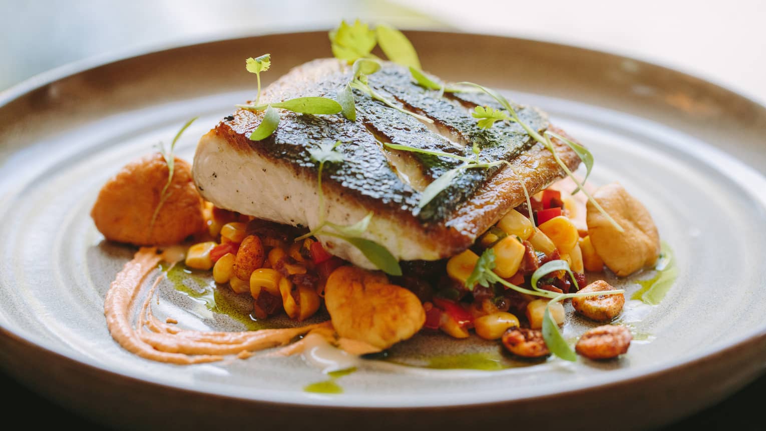 Fine Dining Boston Lunch, Dinner & Brunch Bristol