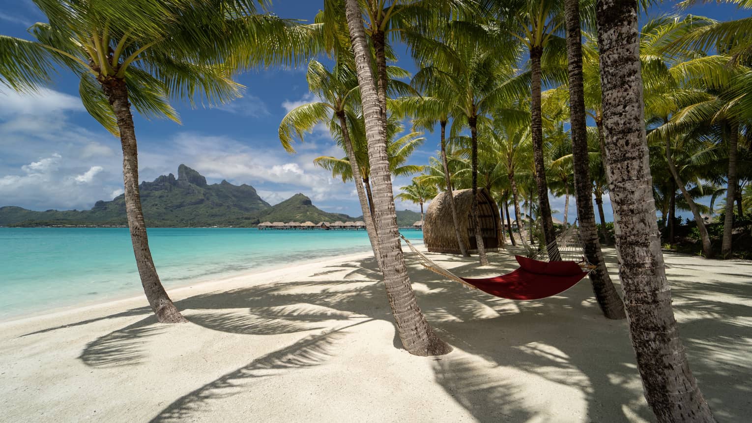 Bora Bora beach with palm trees and a hanging hammock