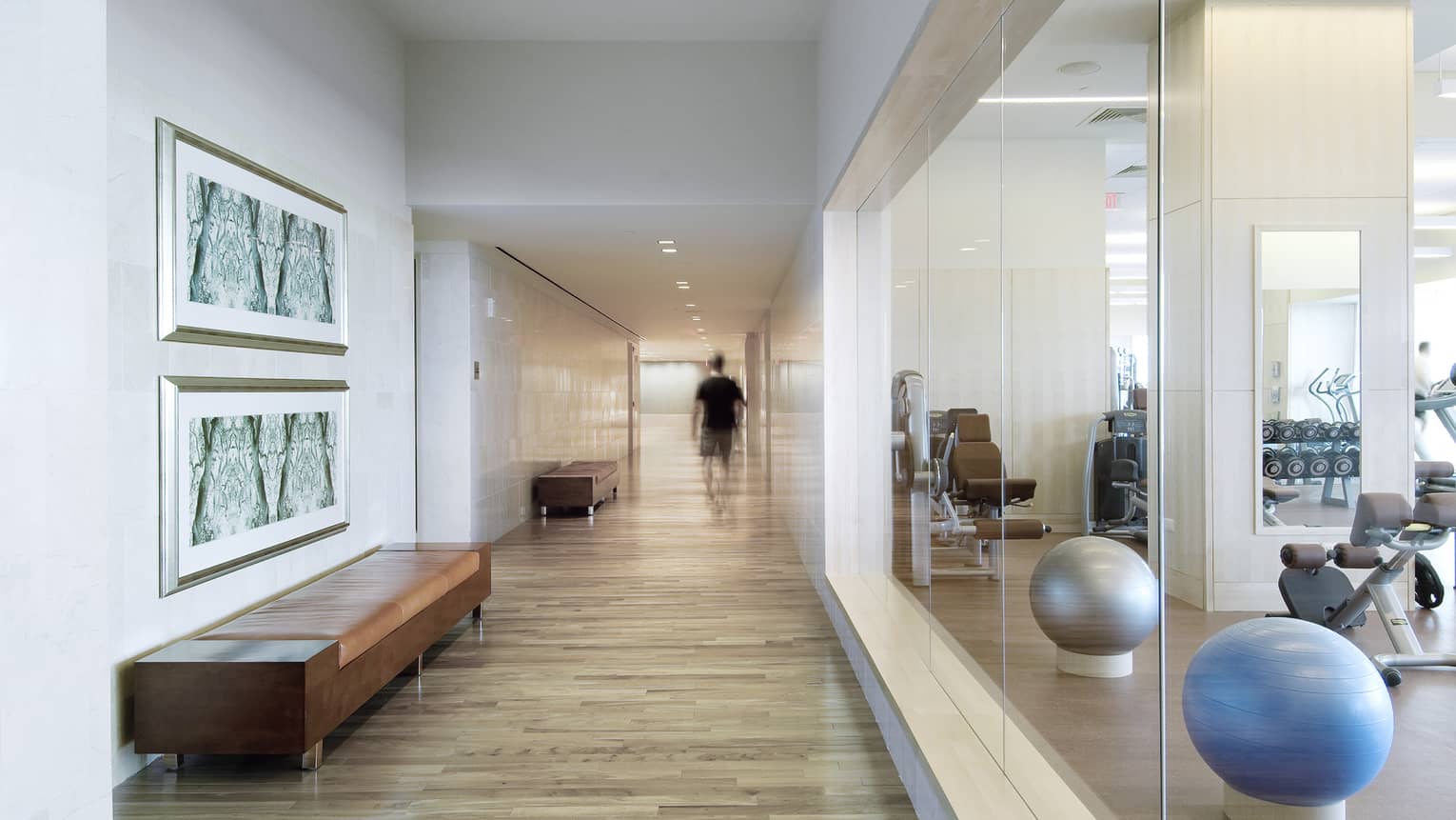 Fitness Centre hallway with bench, wood floors, glass window, pilates balls 