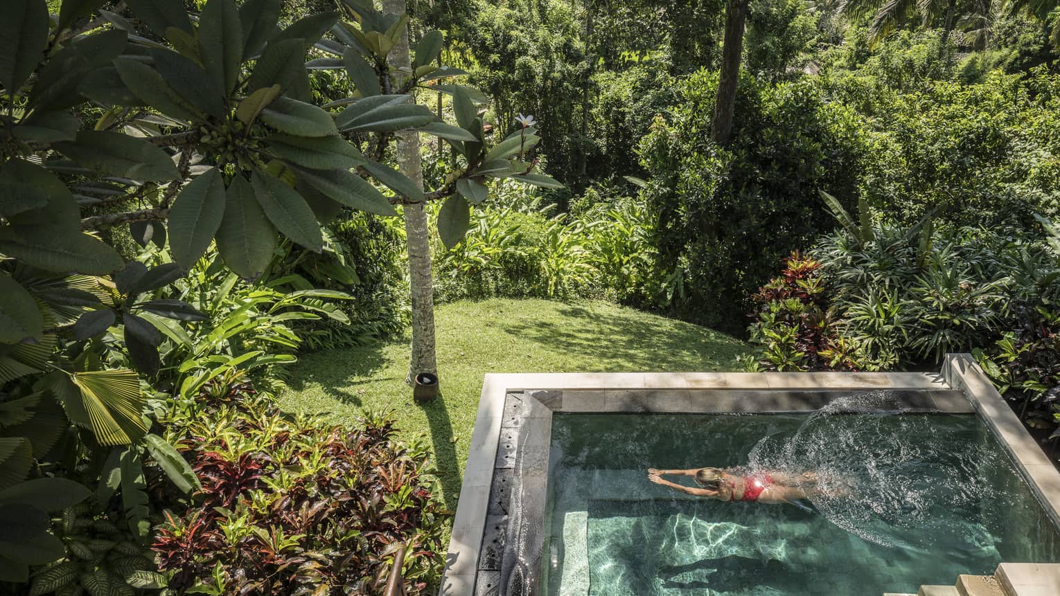 A guest swimming in a pool in Bali, surrounded by a sunlit forest