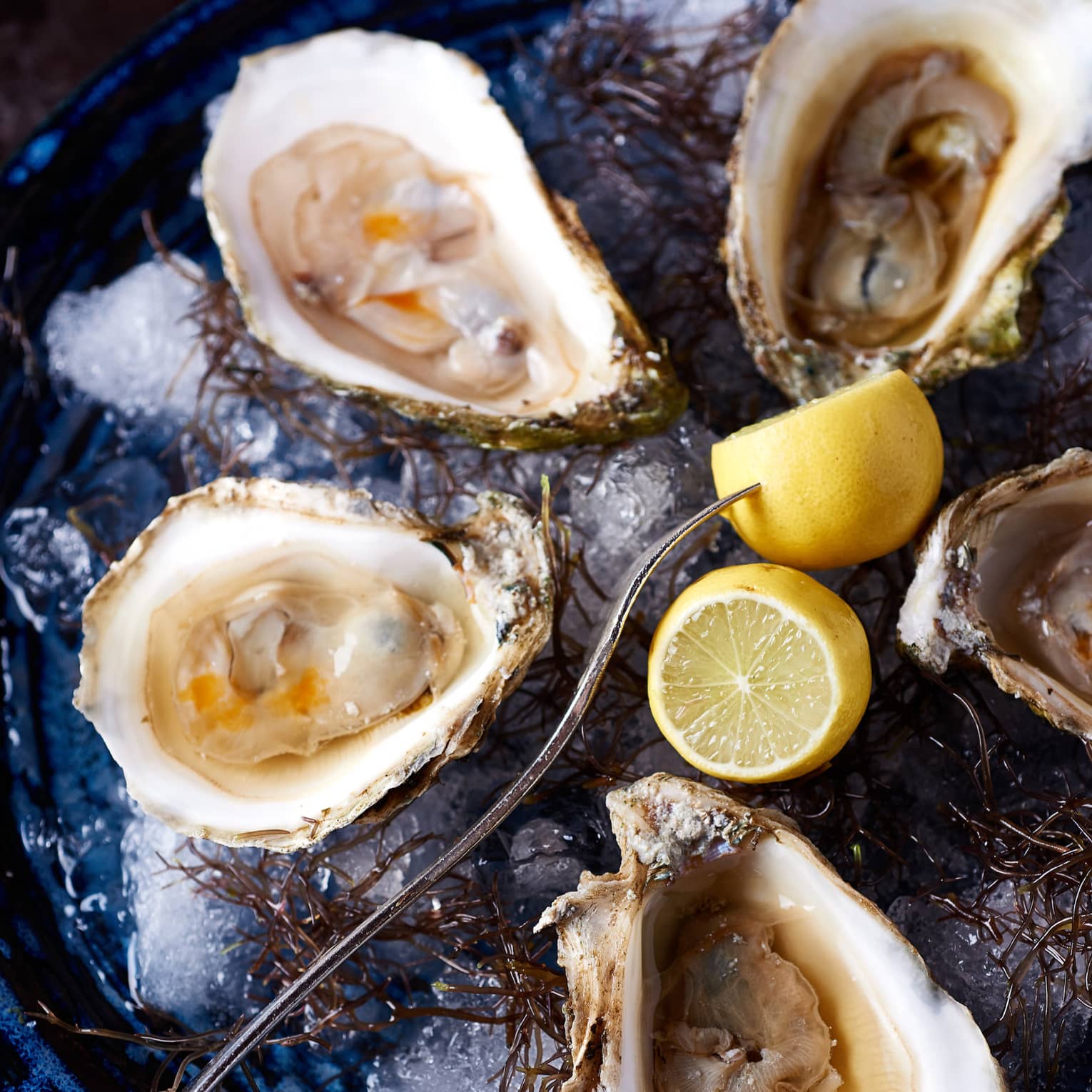 Oysters on a plate with a fork and lemons.