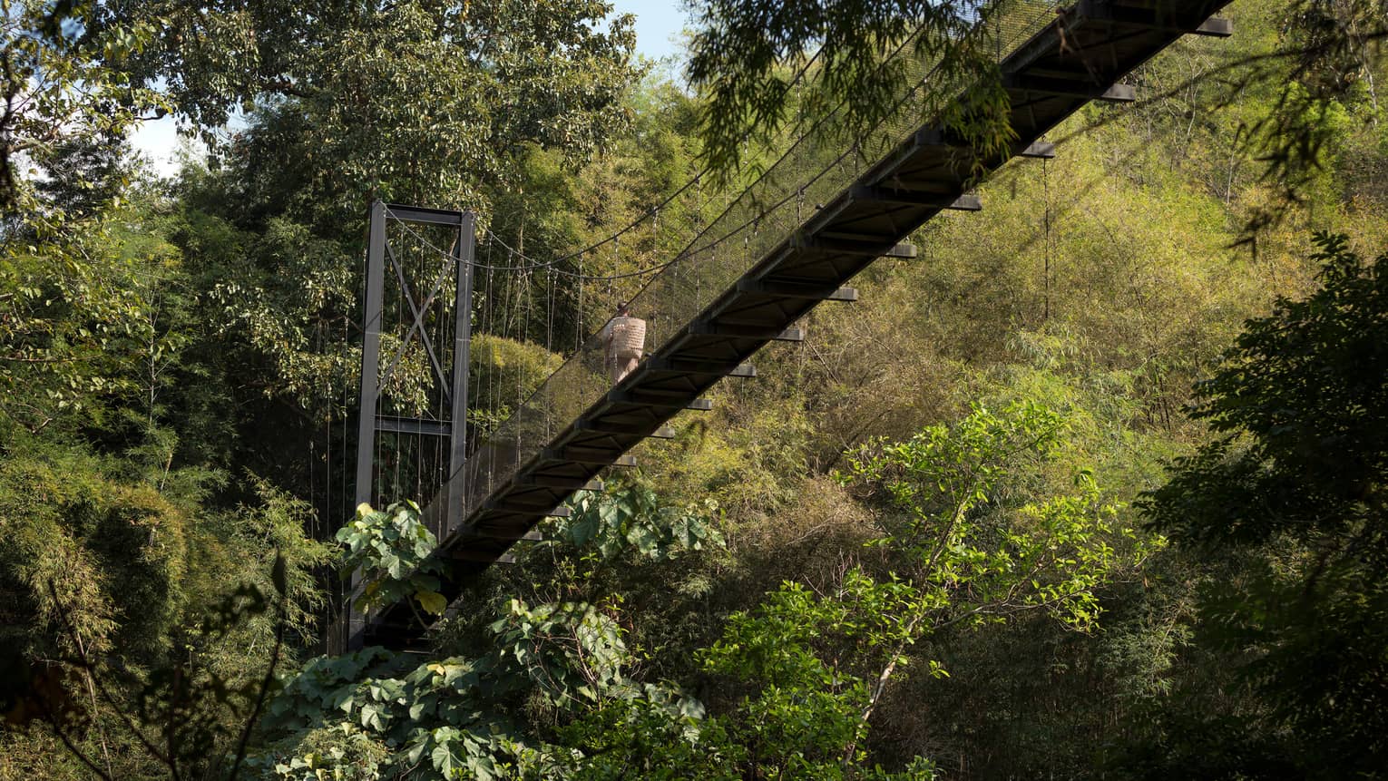 A suspension bridge crosses a lush forest, high above the ground. A person with a basket walks along it, surrounded by dense greenery and sunlight filtering through the trees.
