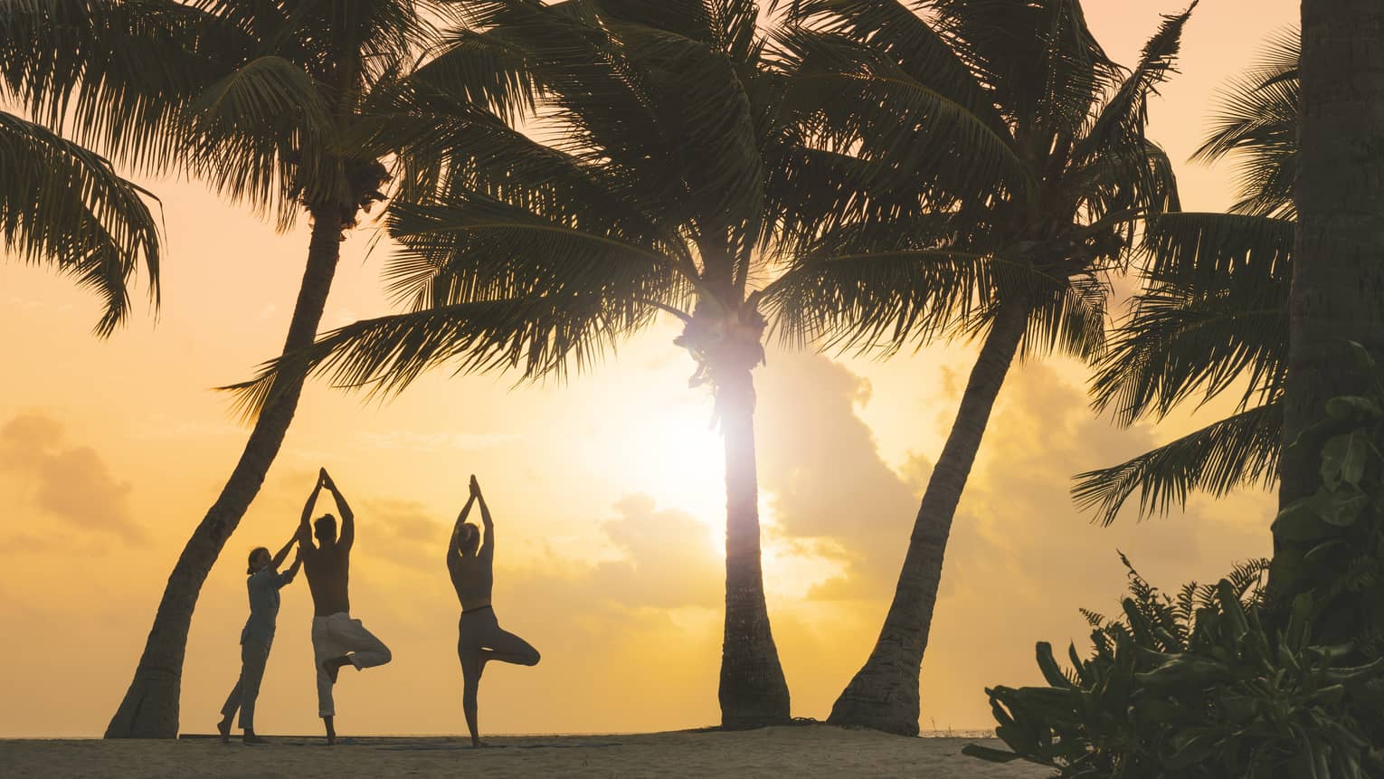 The morning sun silhouetting a couple doing yoga poses with an instructor on a beach surrounded by palm trees and greenery.