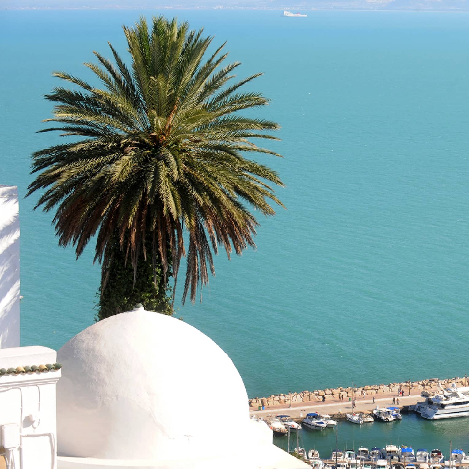View past white post, palm tree over Mediterranean Sea, waterfront with boats, yachts lining docks