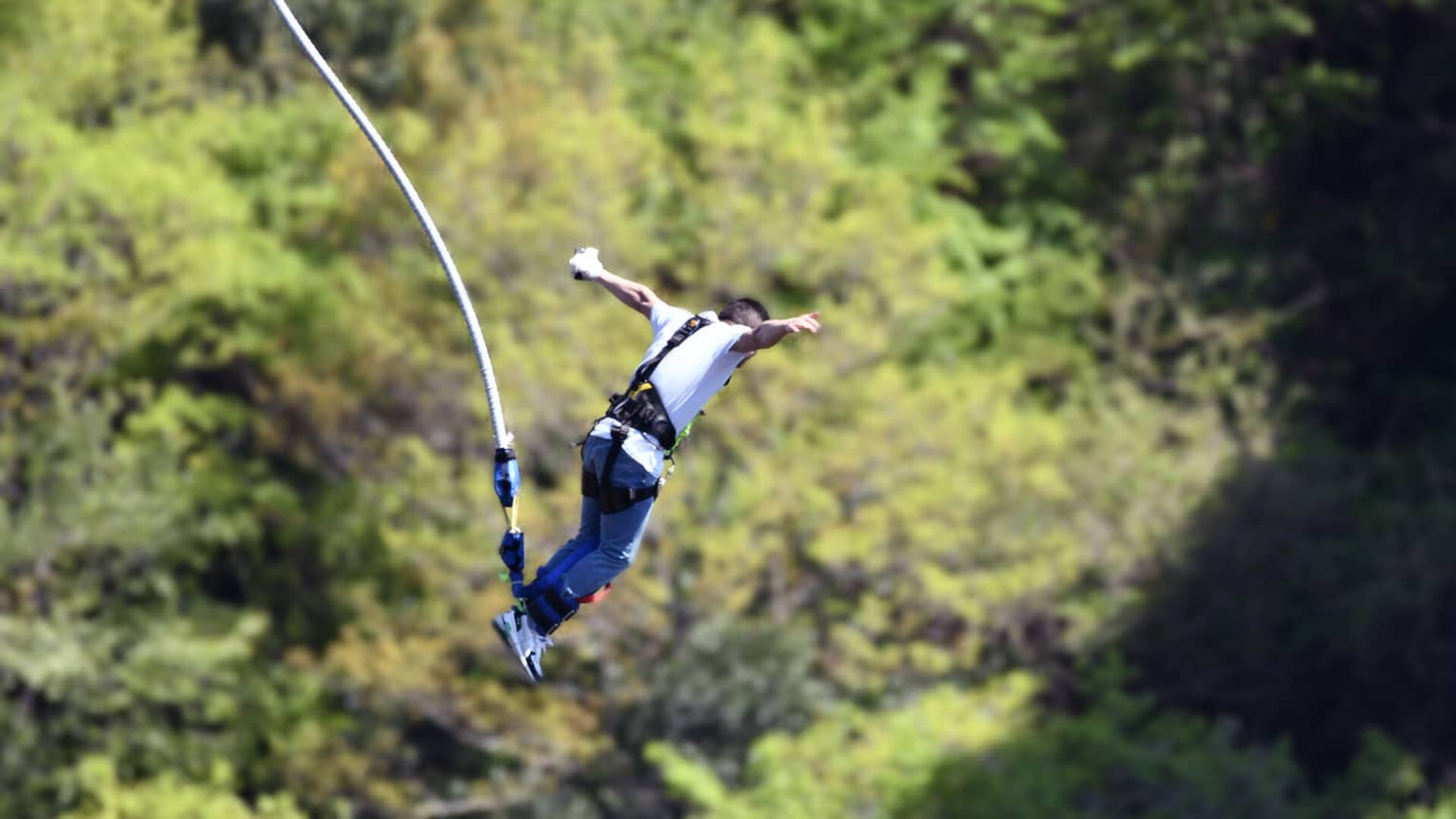 Man wearing white short-sleeve t-shirt and blue pants bungee jumps through the air with green trees in the background