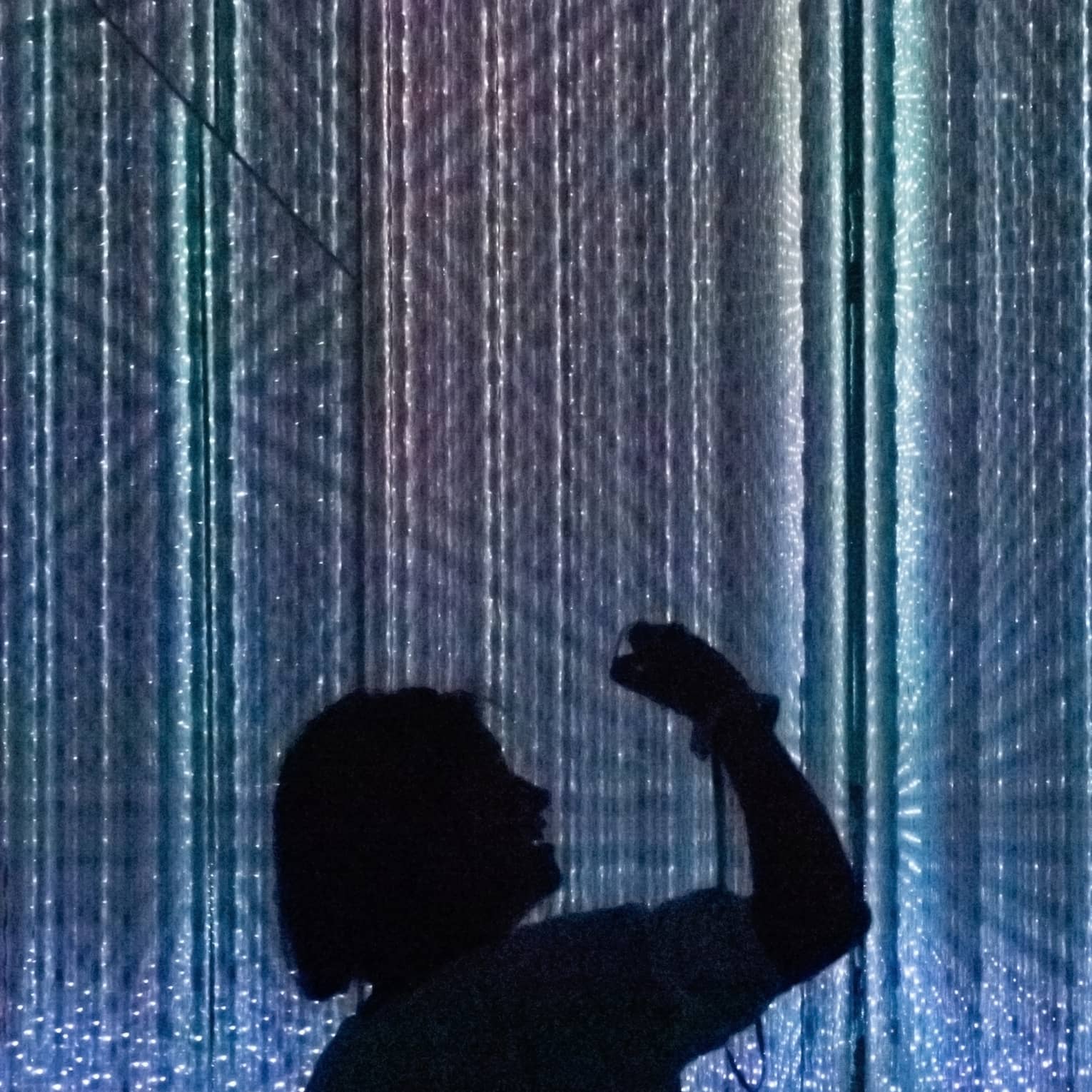 Silhouettes of people enjoying the digital art exhibit at Teamlab Planet