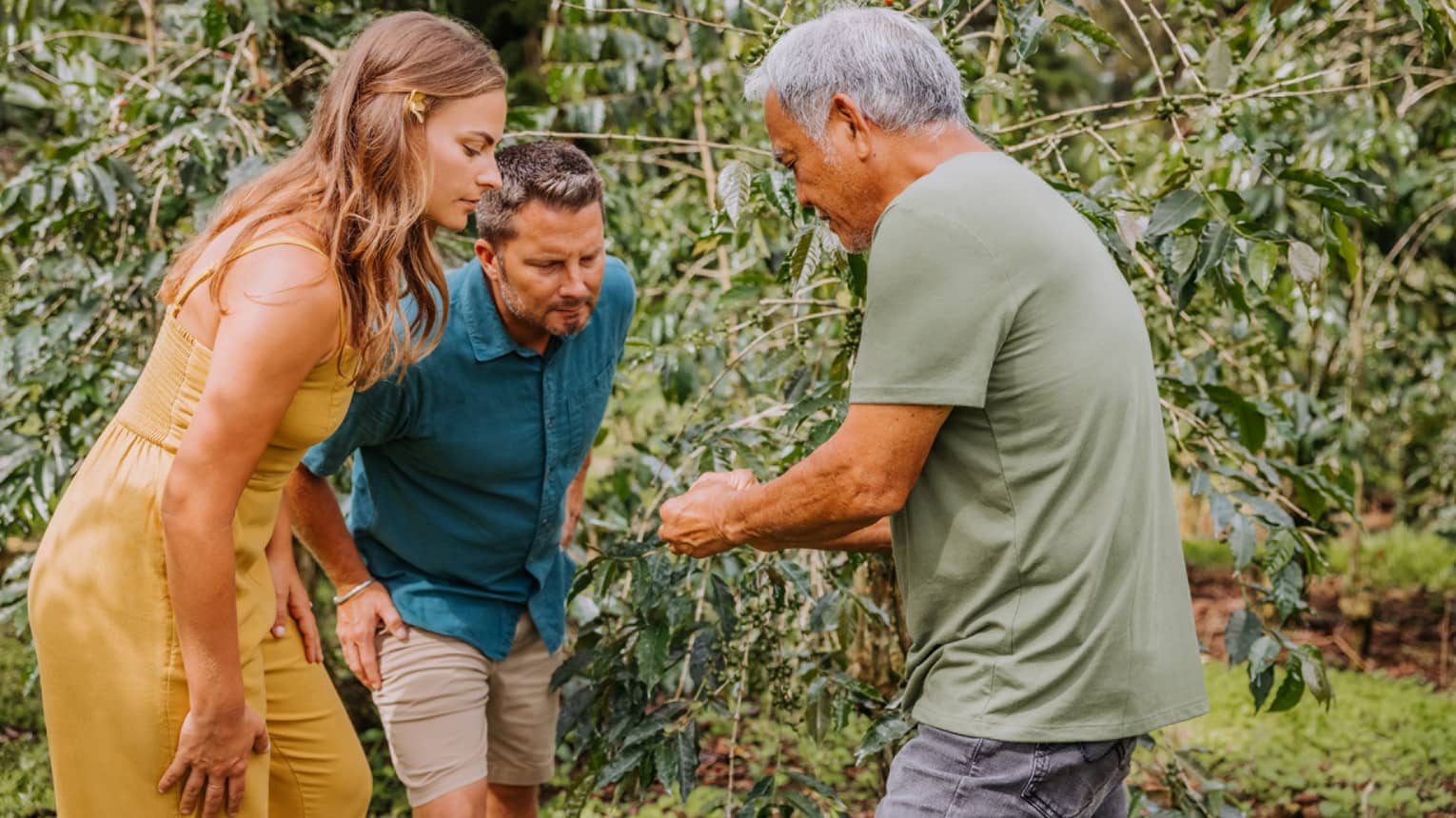 Coffee grower demonstrates how beans are grown to a couple at Koa Koffee Farm
