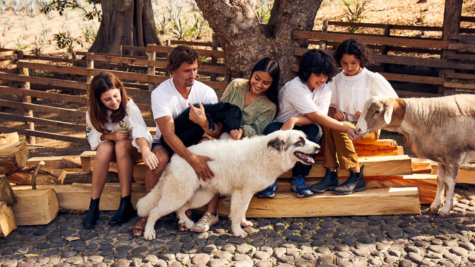 A group of four sits on rough timber; one adult holds a lamb and pets a large white dog, while a child feeds another sheep.