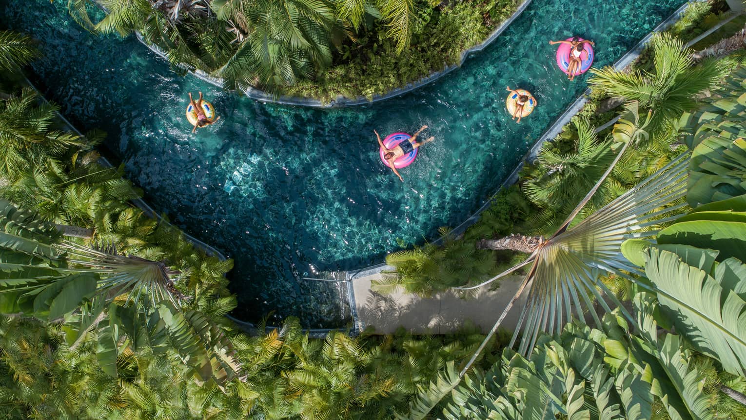 Four people floating on round tubes down a blue lazy river, plants and trees surround them on both sides of the river.