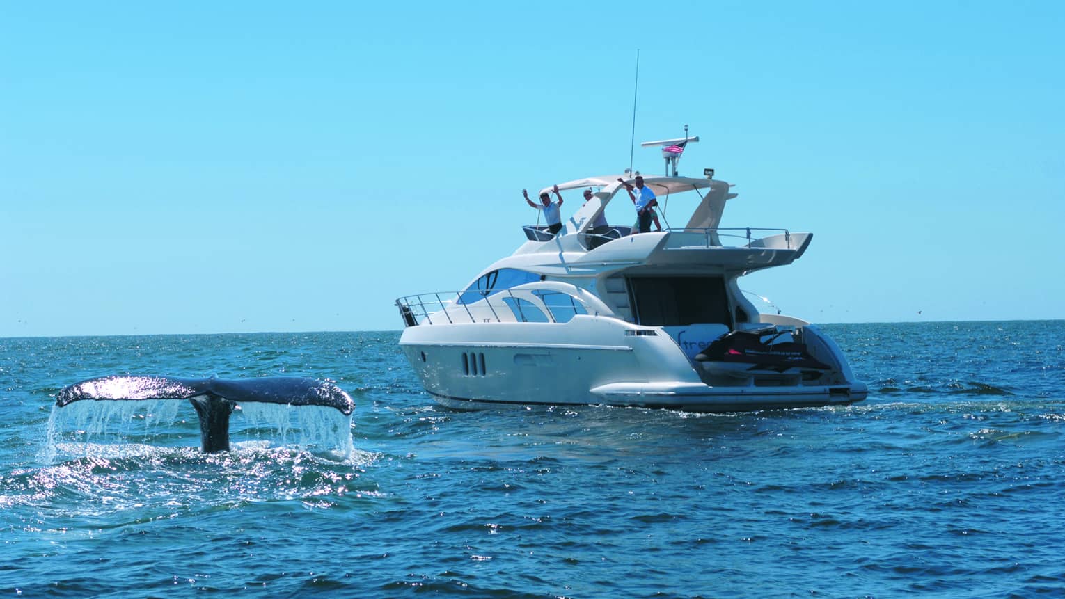 Two men on top of white yacht look down at ocean where whale tale breaks through water
