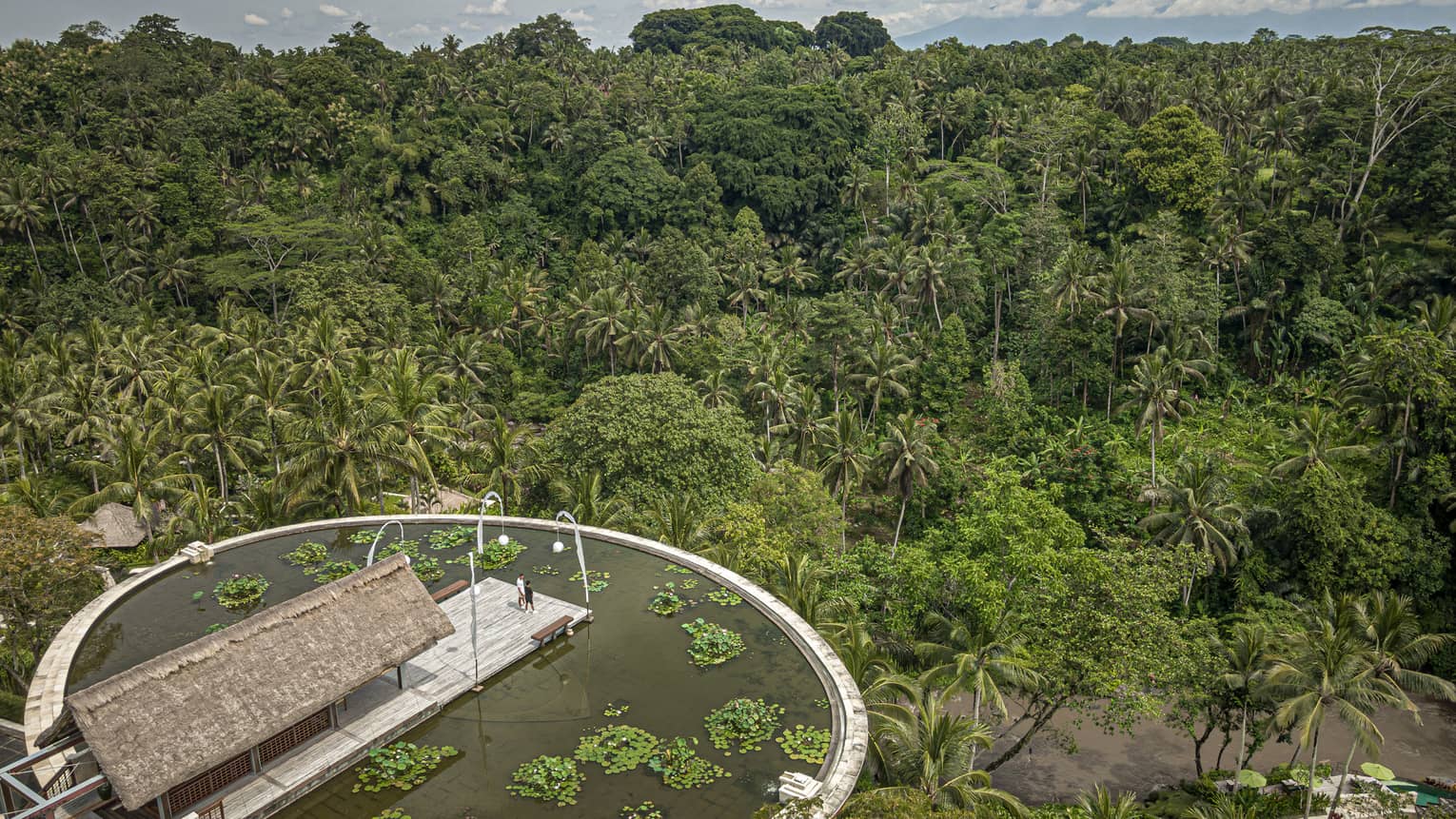 The Lotus Pond aerial view