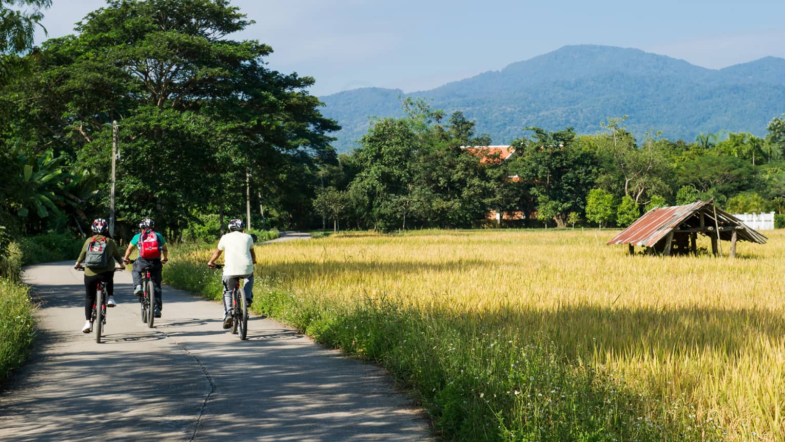 Three cyclists ride down a rural road surrounded by lush greenery and golden fields, with mountains in the background and a small rustic hut to the side.