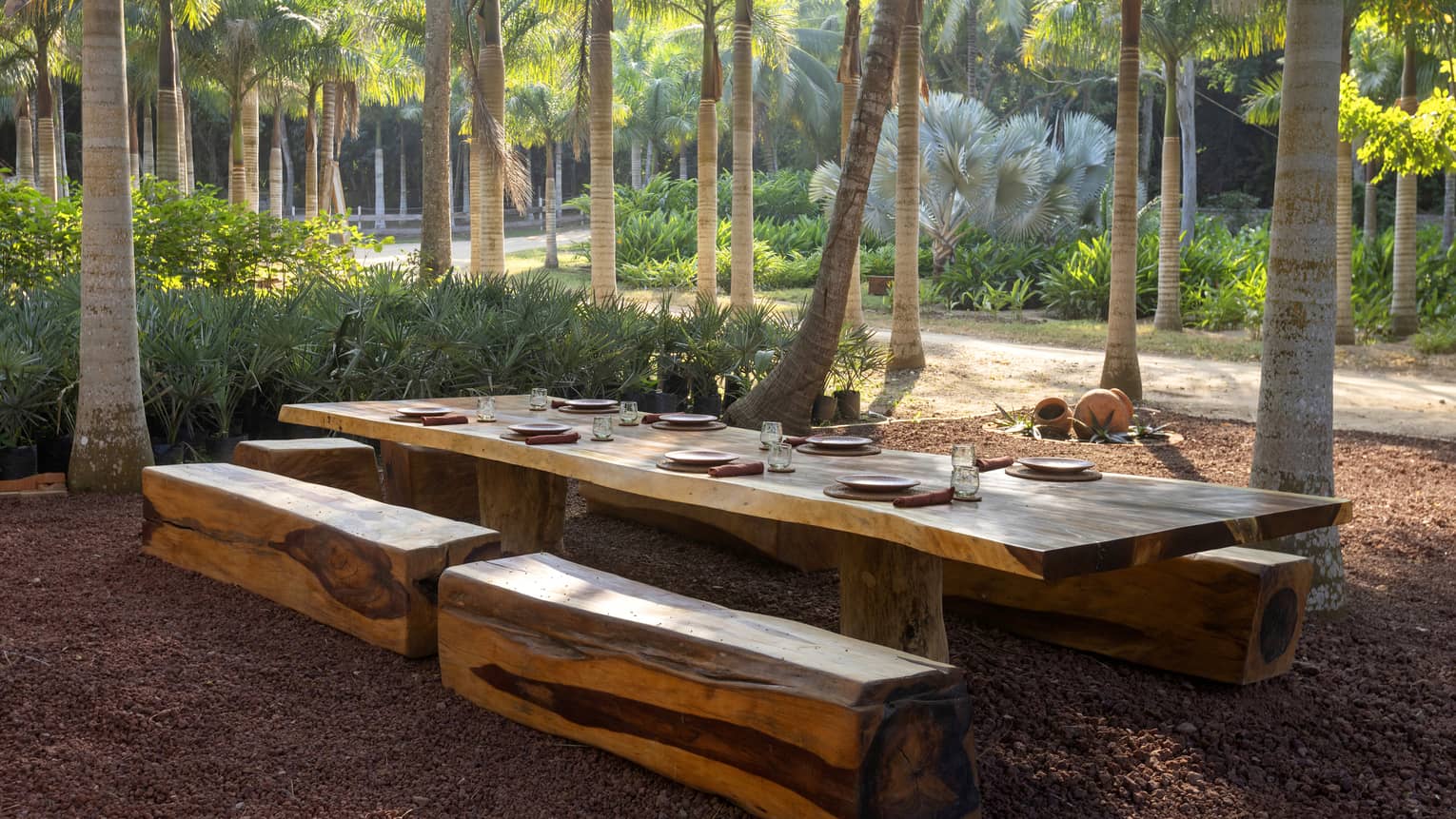 Wood dining table and benches in a lush forest setting