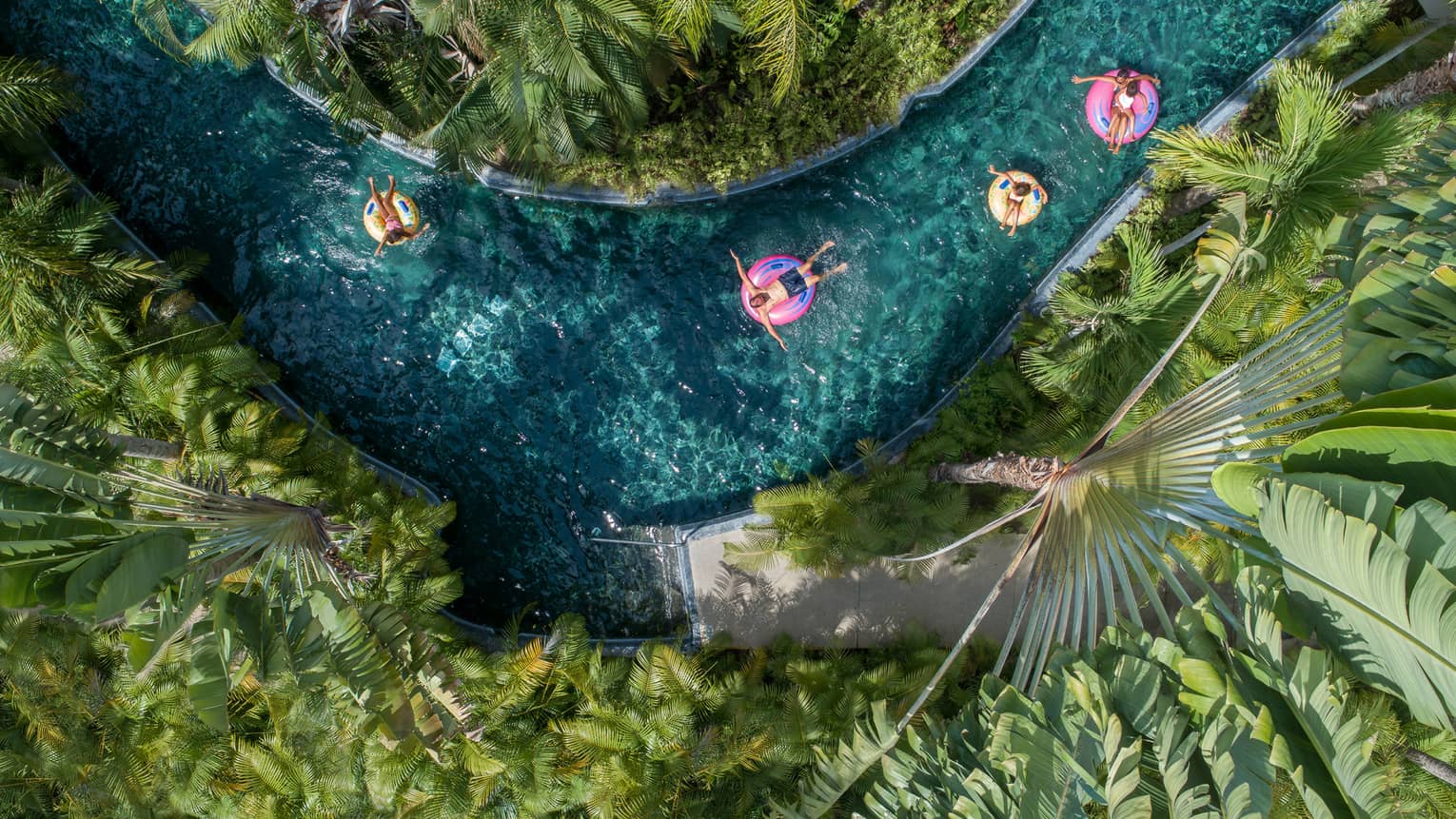 Four people floating on round tubes down a blue lazy river, plants and trees surround them on both sides of the river.