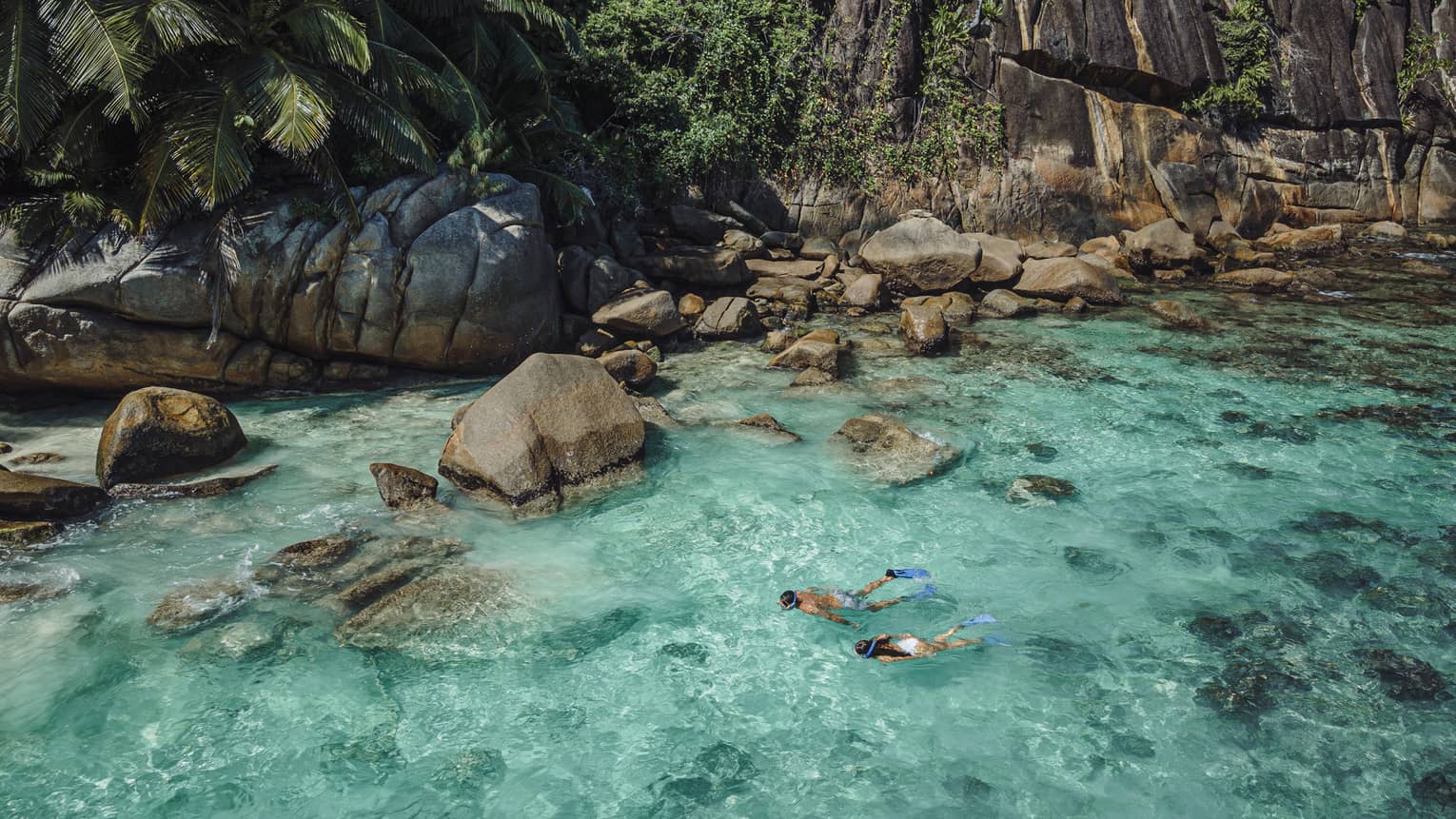 Palm trees over large rocks in turquoise sea along shore on La Digue Island, Seychelles