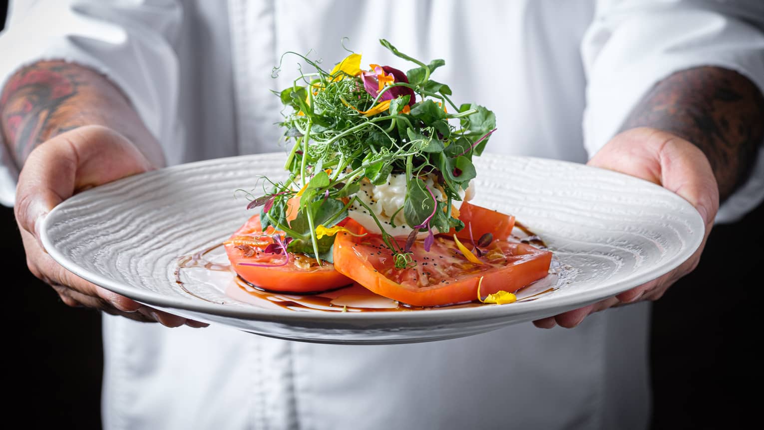 Tomatoes with fresh green on a white plate being held by a chef.
