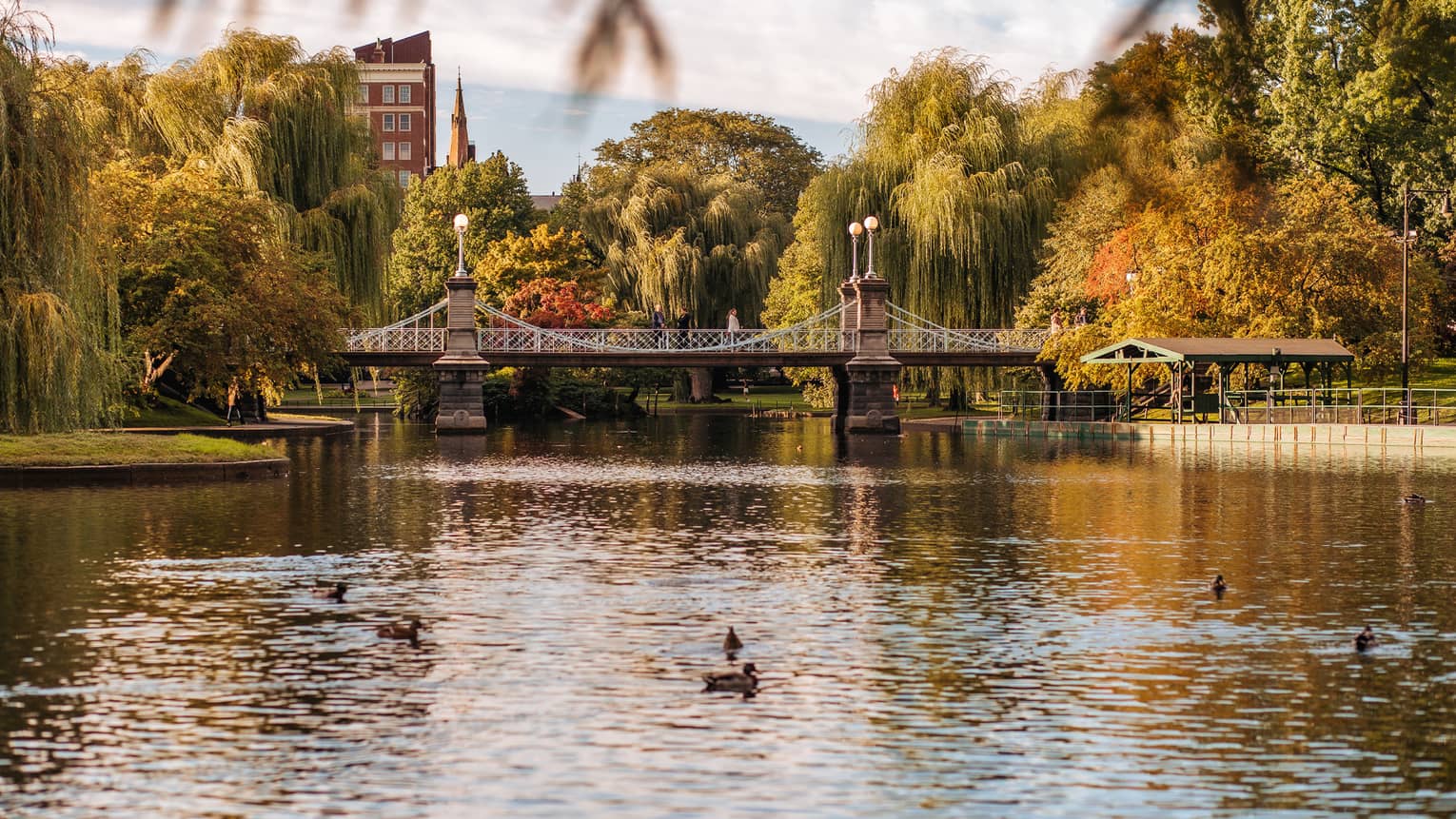 A river flowing through a large park area with a small bridge crossing it.