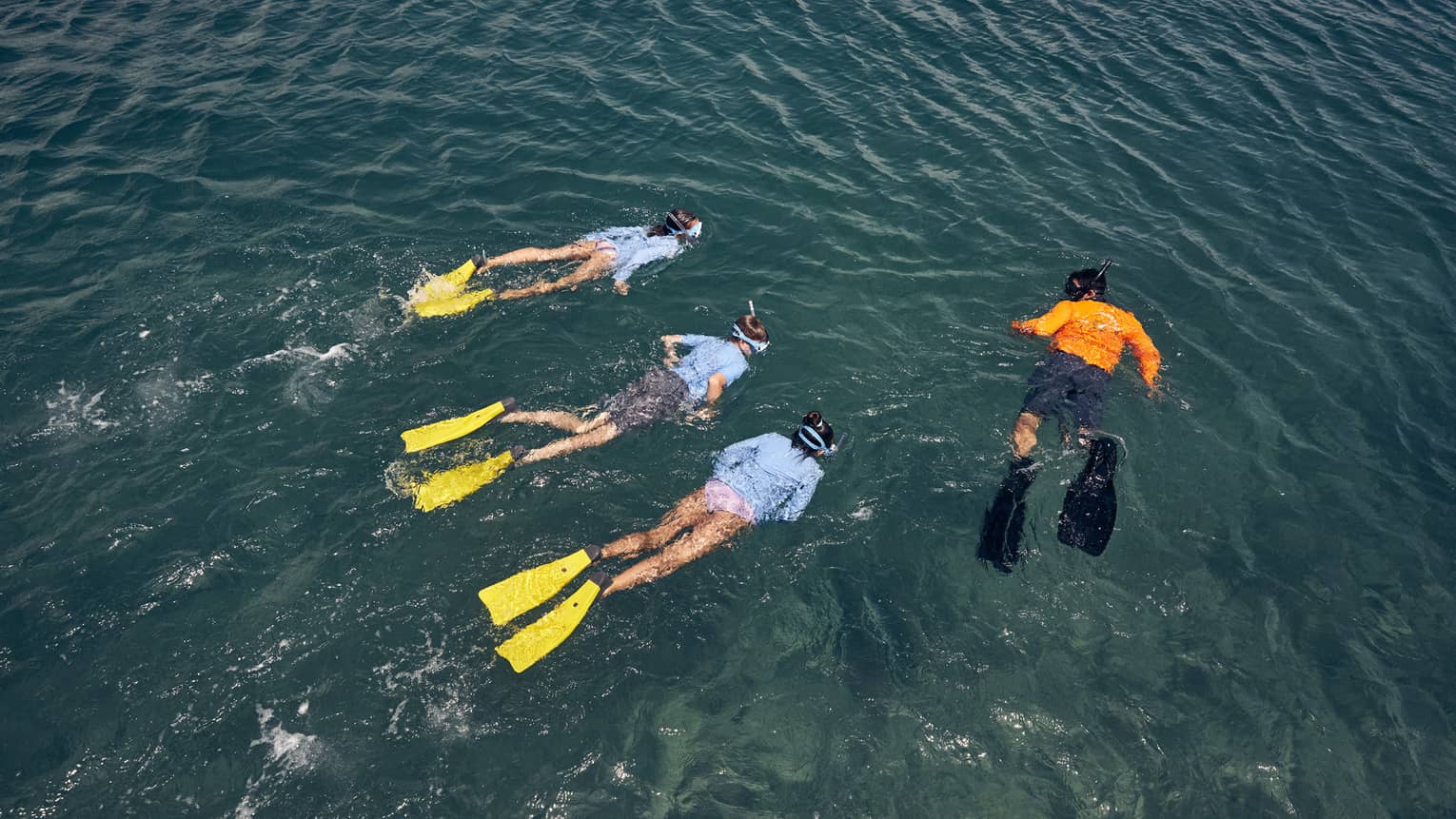 Overhead view of three people wearing light-blue swim shirts and yellow flippers swim next to an instructor wearing an orange swim shirt and black flippers