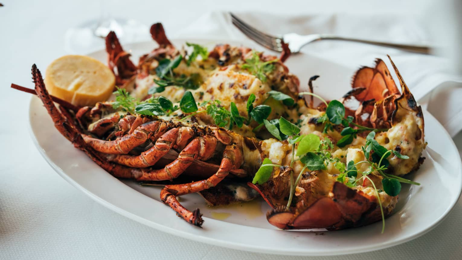 Grilled lobster