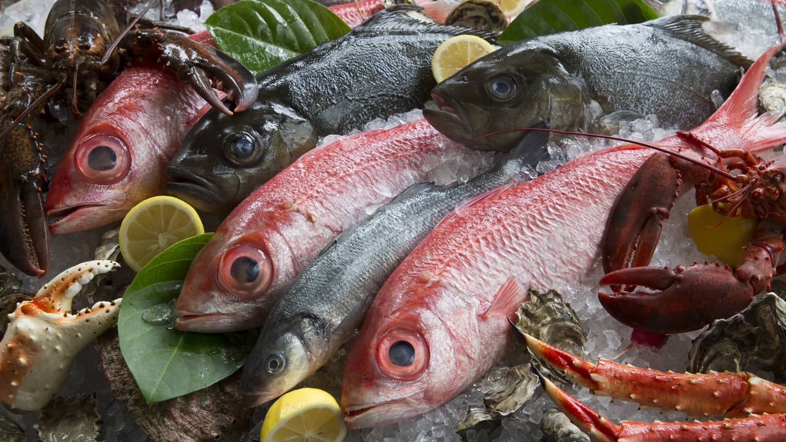 An array of fresh seafood on ice, including red snapper, Dungeness crab and lobster