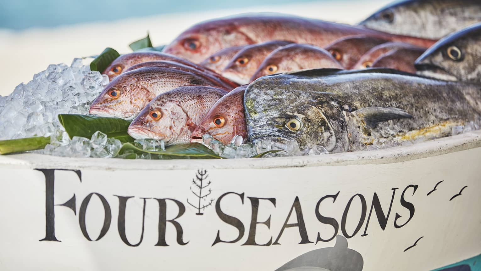 A tray of fish covered in ice.