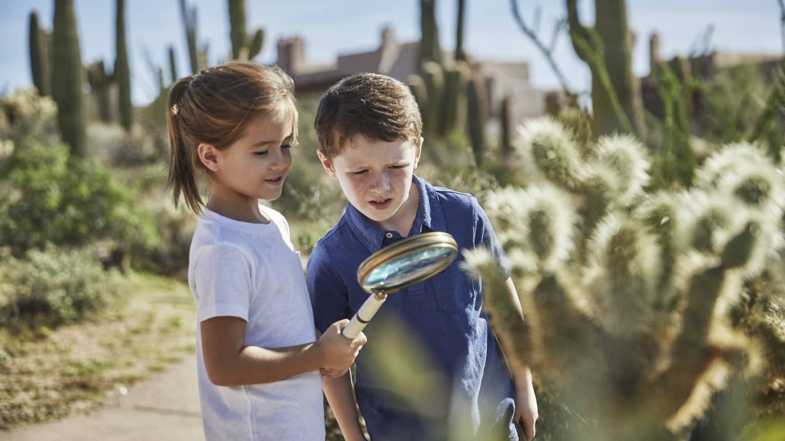 A little boy and girl investigate a cacti's arm with a magnifying glass