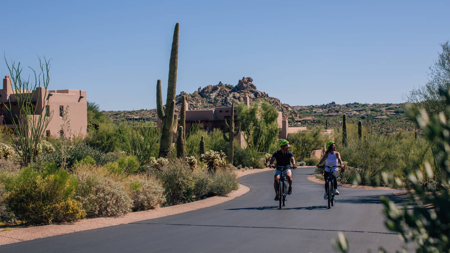 Two people riding bicycles down a road surrounded by plants and cacti.