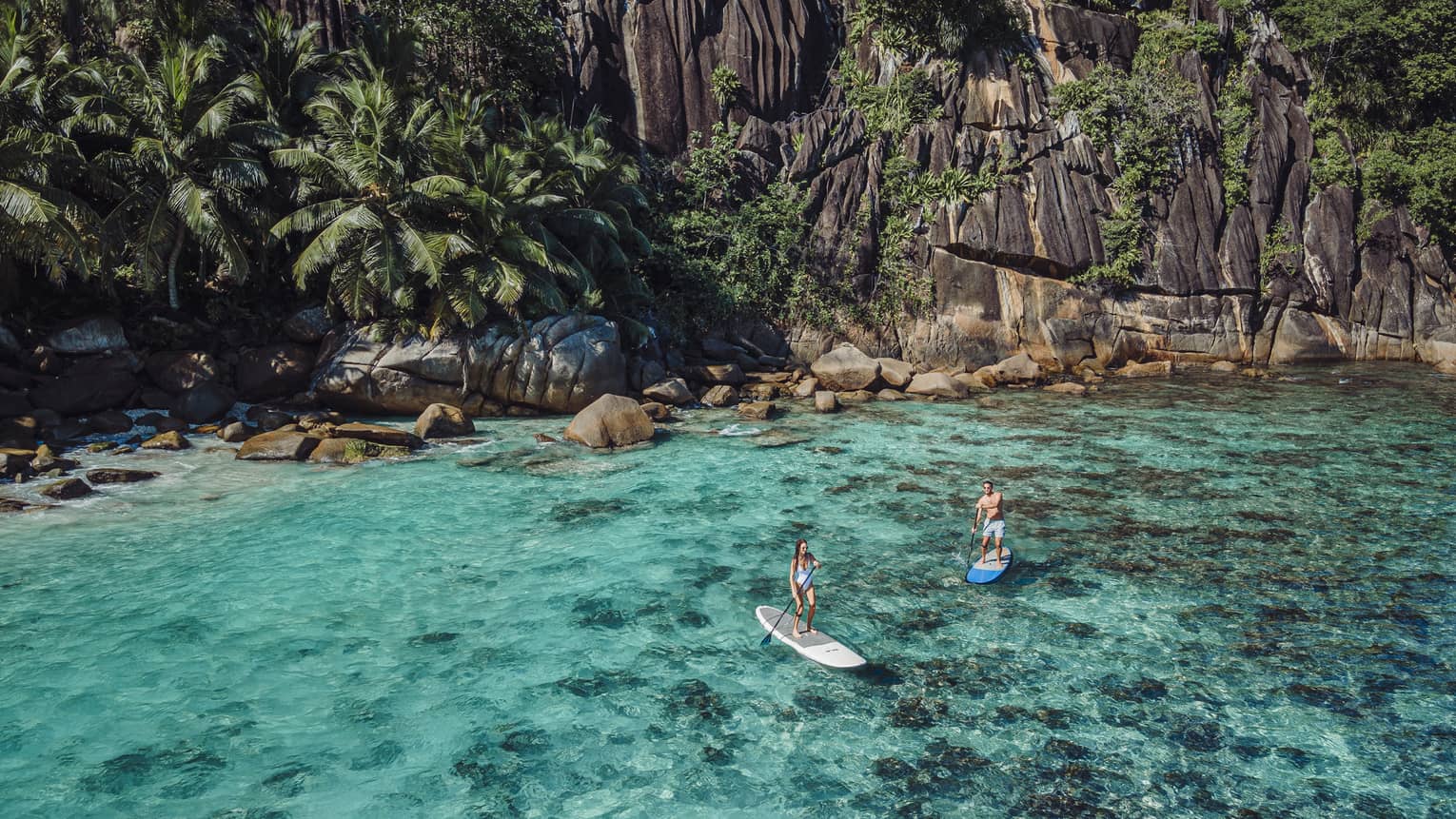 Aerial view of two stand-up paddleboarders navigating clear turquoise waters by the shore of a towering, verdant bluff.