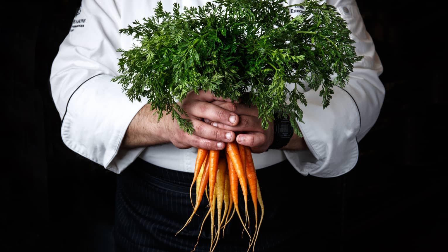 Chef hands holding a bundle of carrots.