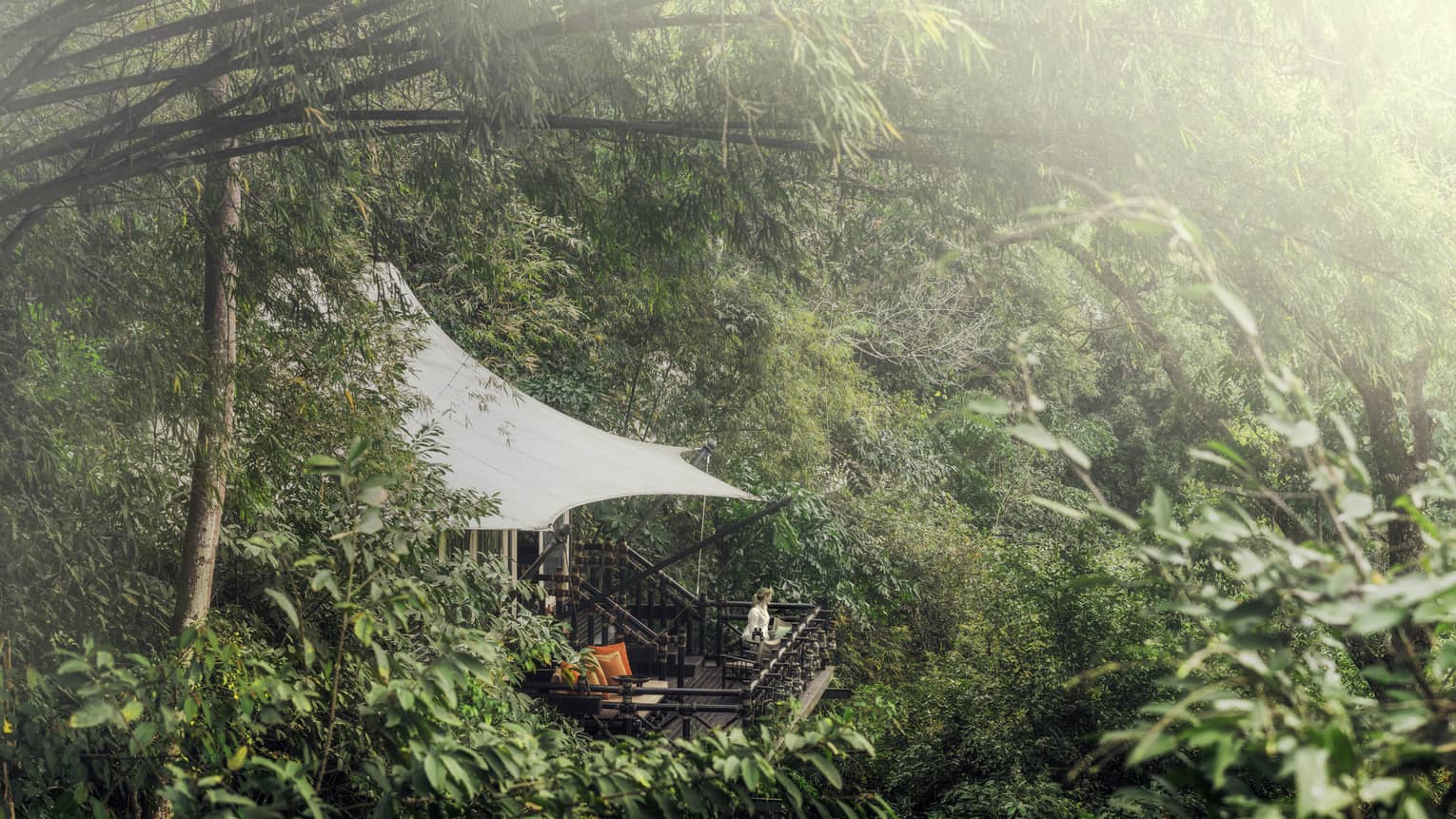 Woman stands on treetop terrace patio, surrounded by tropical forest