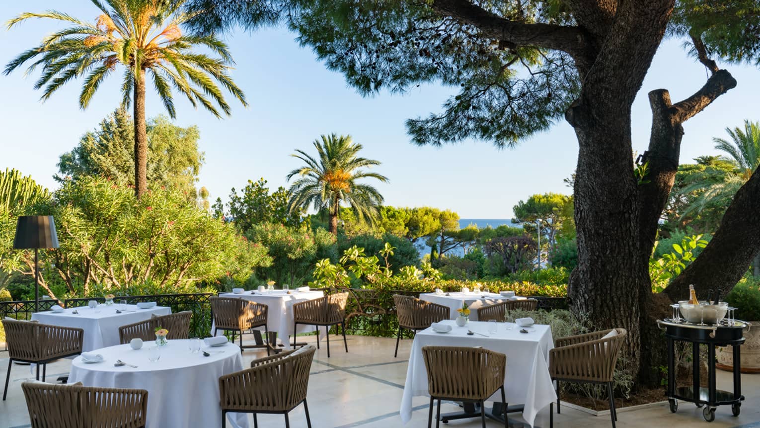 Patio with round white cloth–covered dining tables and rattan chairs surrounded by palm trees and greenery