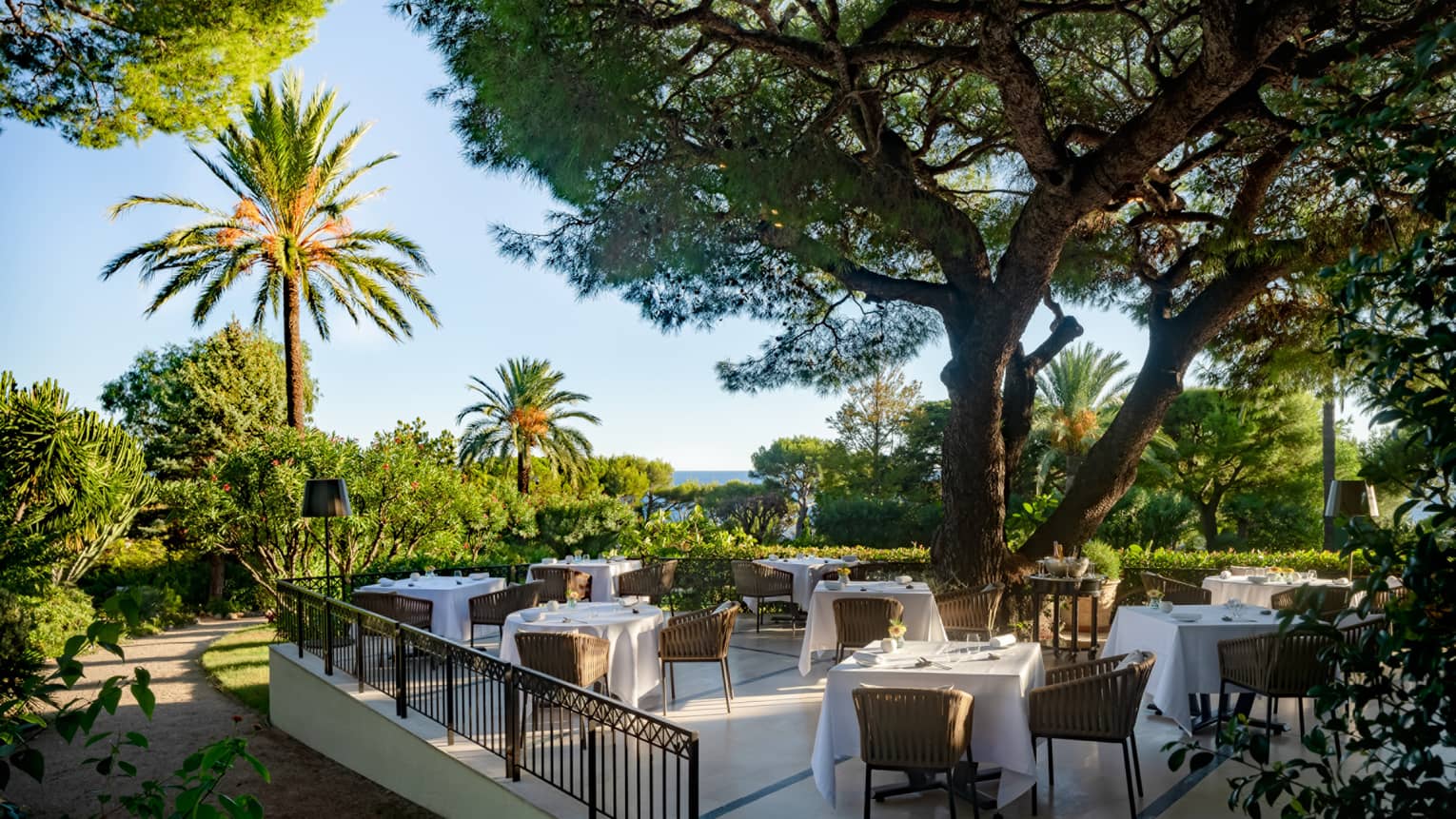 Le Cap restaurant terrace with square set tables of four under large tree and lush surrounding greenery