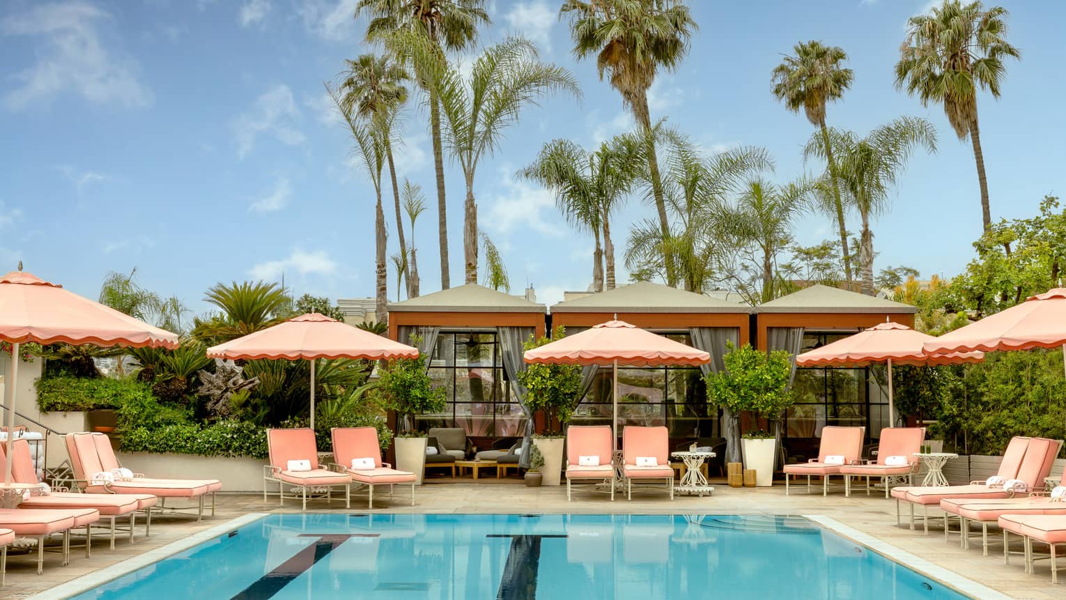 Outdoor hotel pool surrounded by pairs of pink lounge chairs under pink umbrellas with tall palm trees in the background