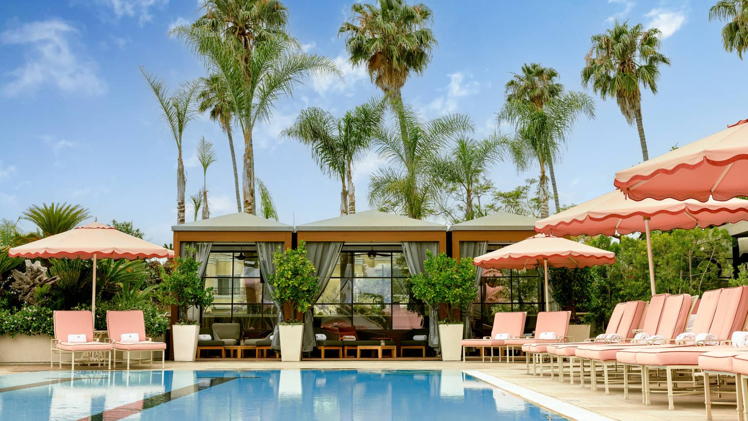 Outdoor pool surrounded by pink umbrellas and lounge chairs with palm trees in the background