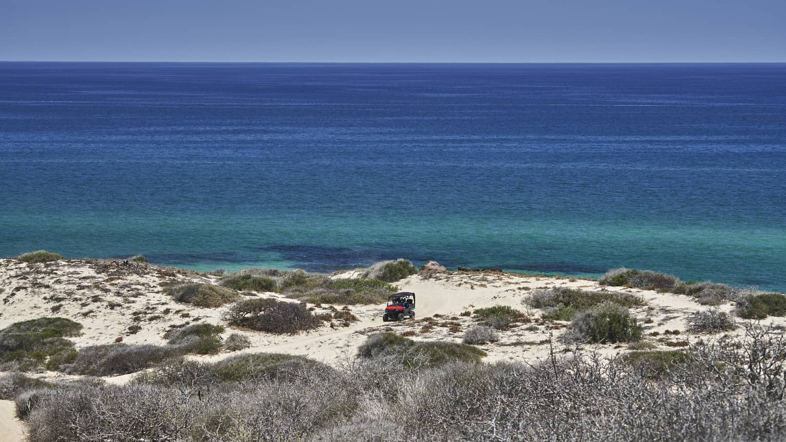 A beach with shrubs and a blue ocean in the distance.