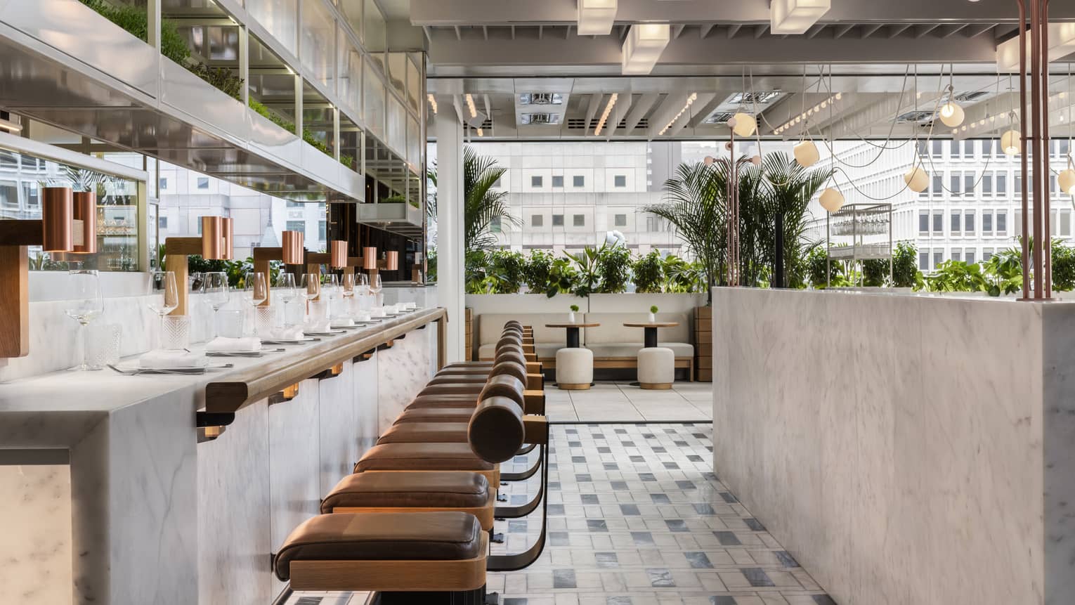 A brightly lit bar with a row of barstools along the countertop. The dining area is adorned with large ferns. 
