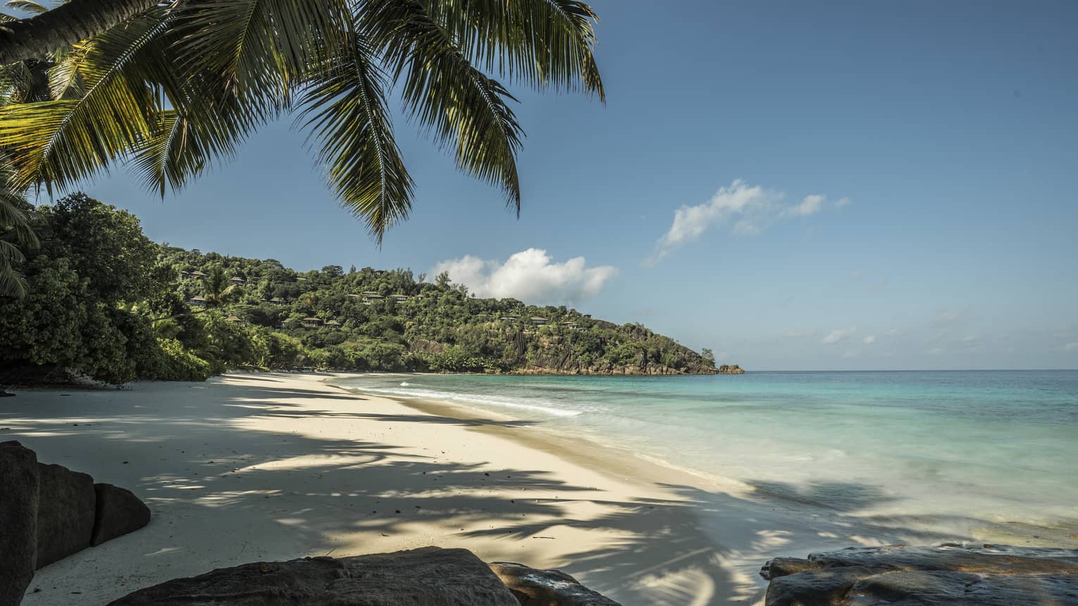 Petite Anse white sand beach with palm trees casting shade over sand and water