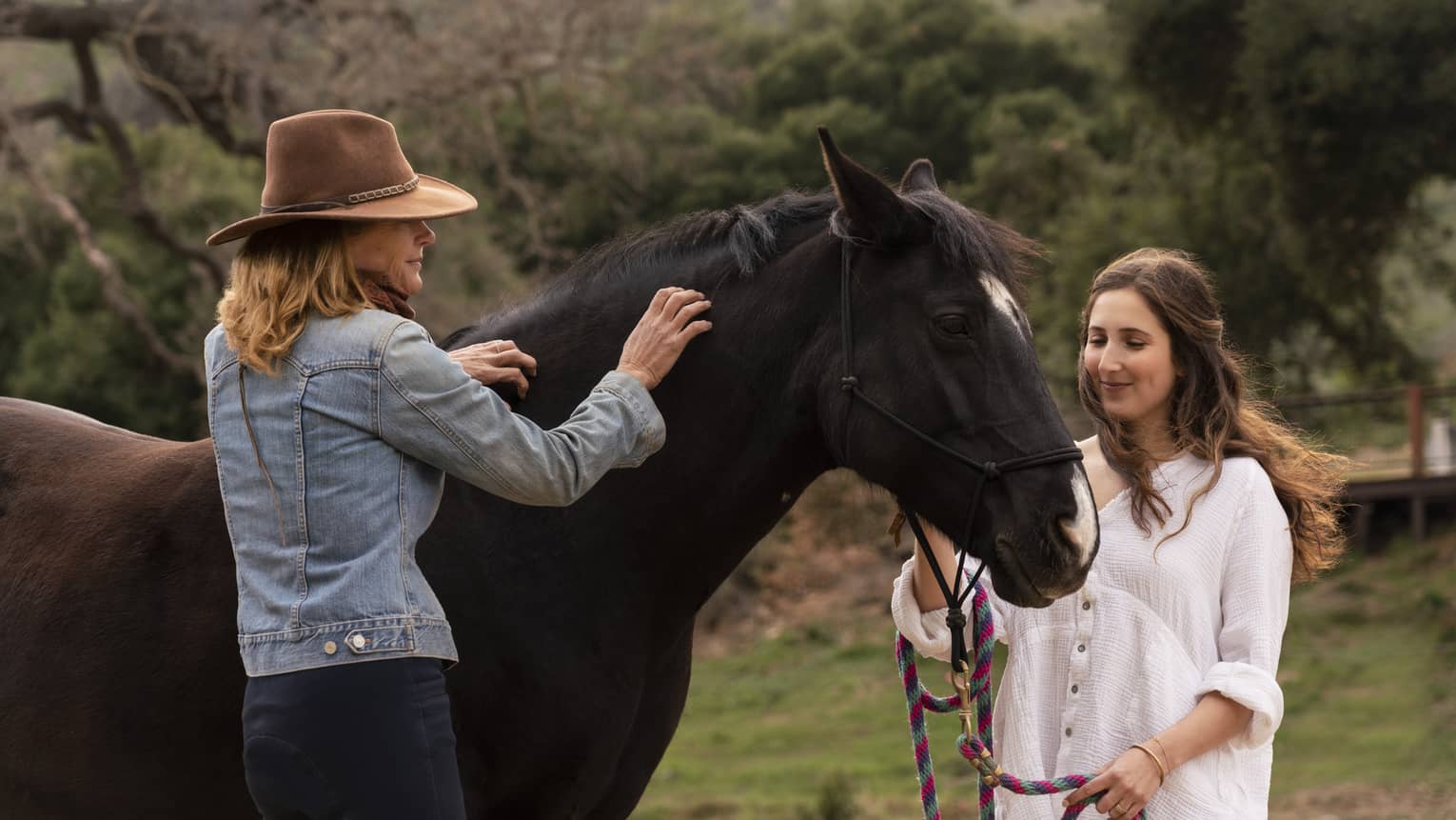 A woman in a hat patting a large brown horse while a young girl pets the neck of the horse.