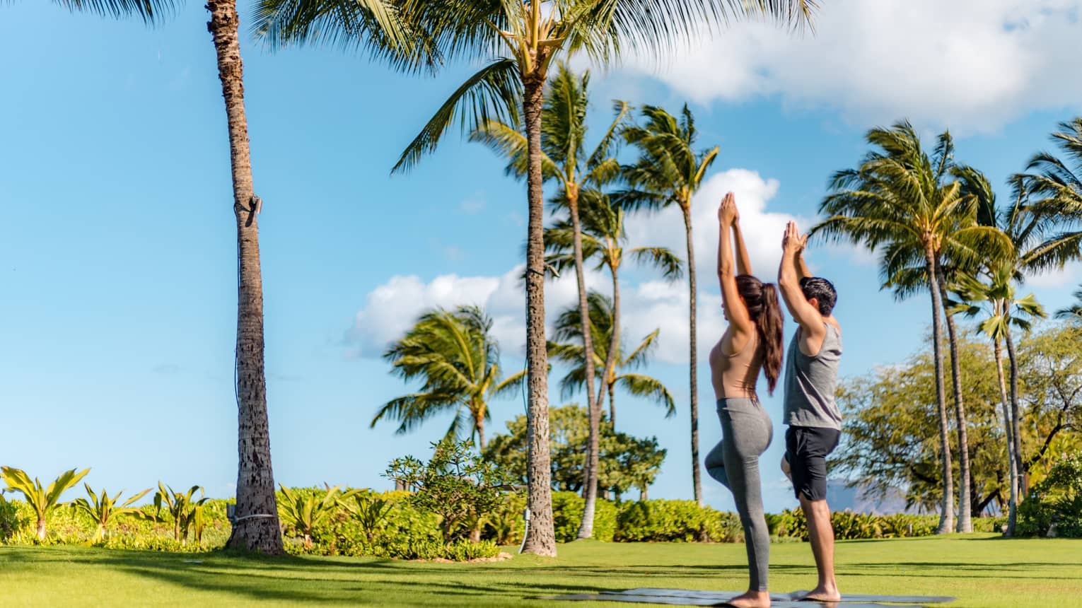 Two people stand in tree pose next to tall palm trees on Resort's Ocean Lawn