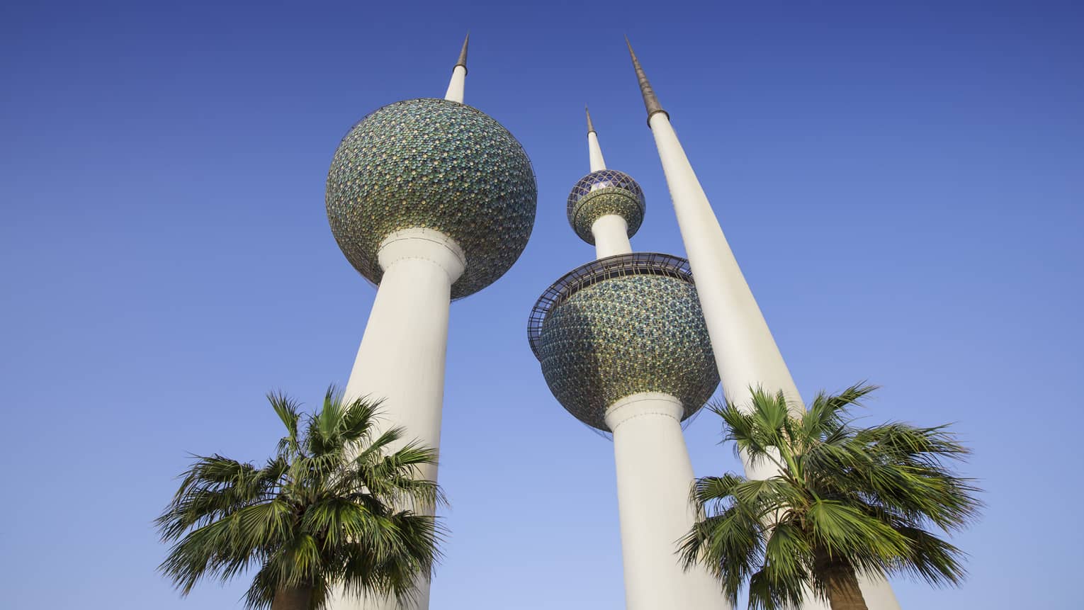 An upward angle of ornate white pillars next to palm trees
