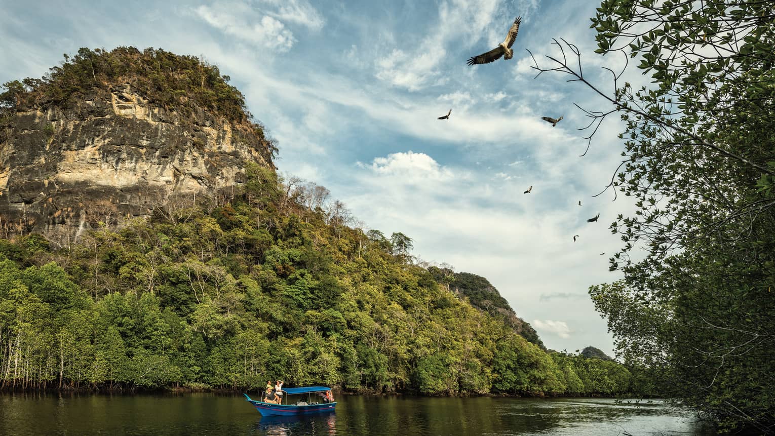 A majestic mountain rainforest looms behind tourists in a small, canopied riverboat as they watch eagles soaring high above.