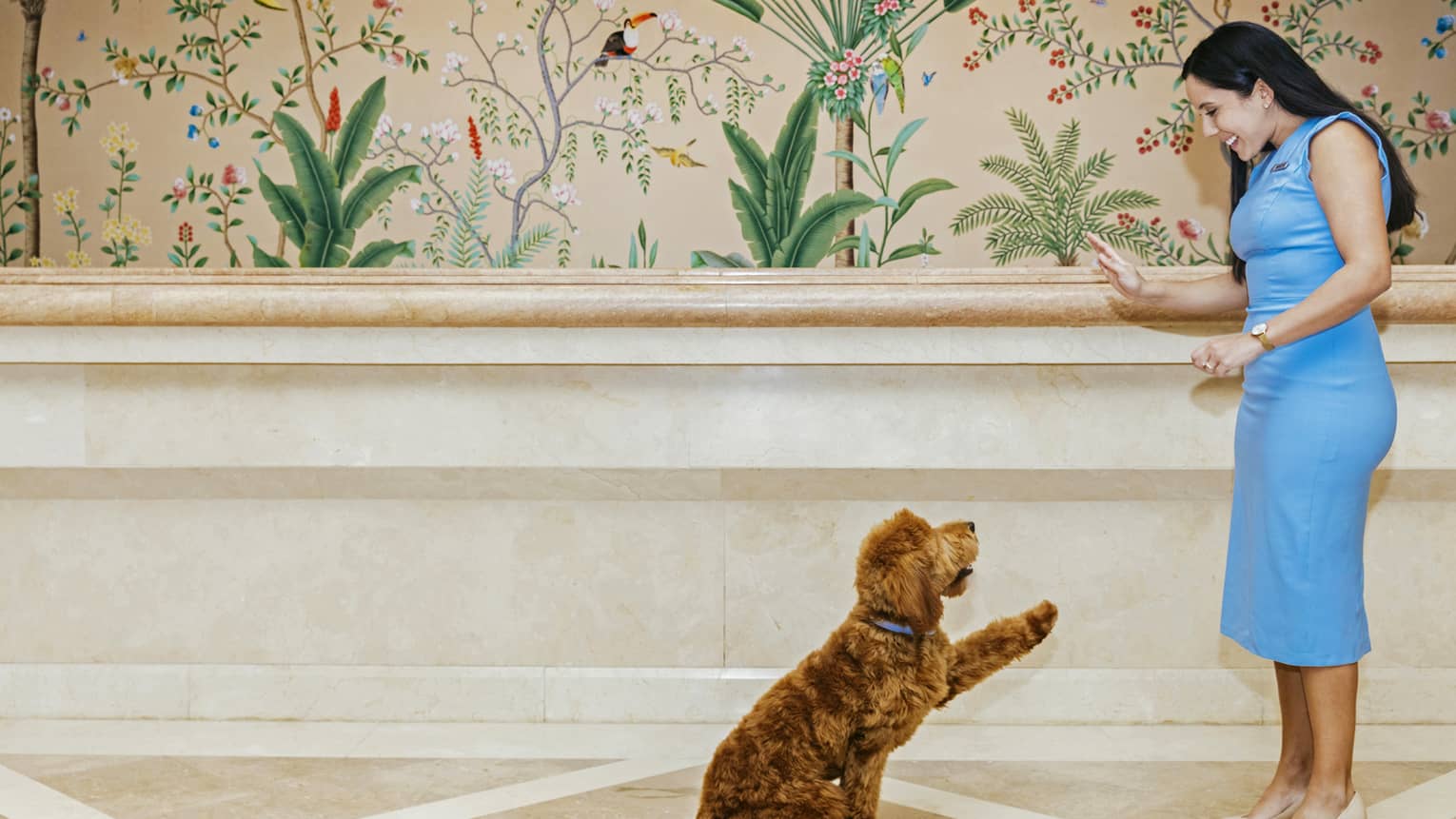 A woman waving to a small brown dog in a hotel lobby with a wall painted with plants and flowers.