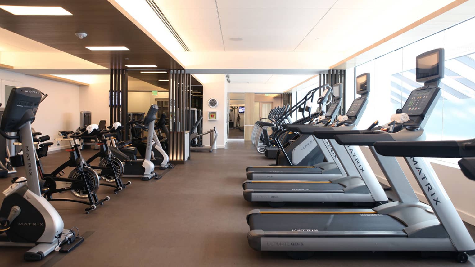 A row of cardio machines at a gym.
